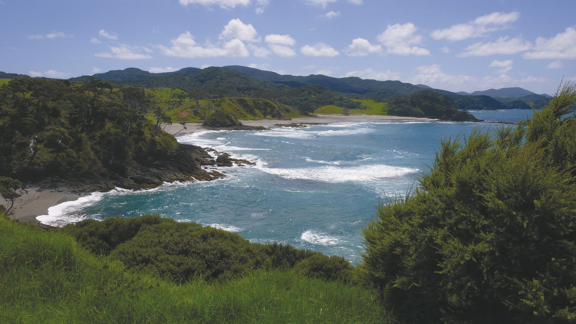 NZL_NIS_289_20090722_SS