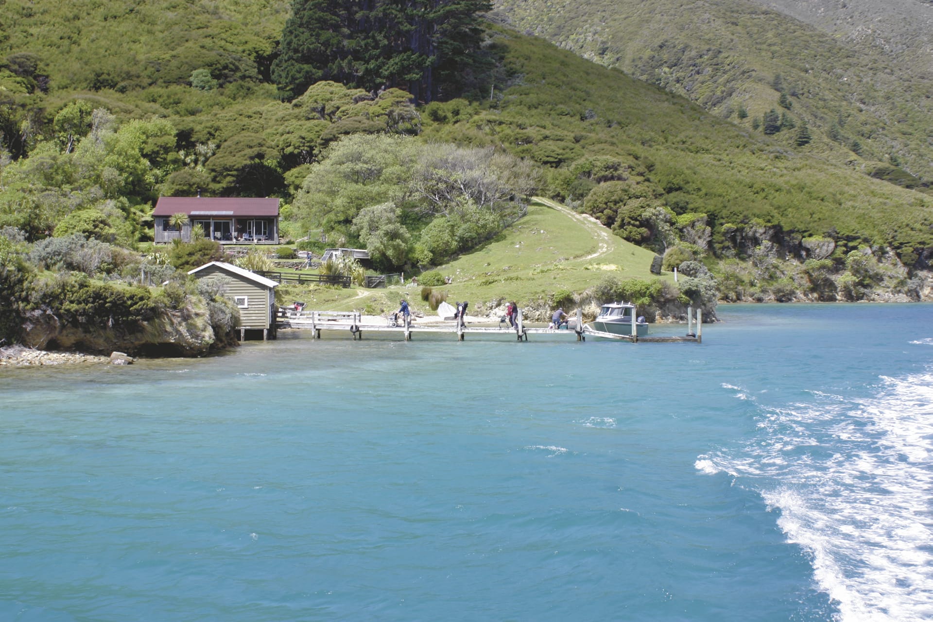 NZL_SIS_008_20070913_SS