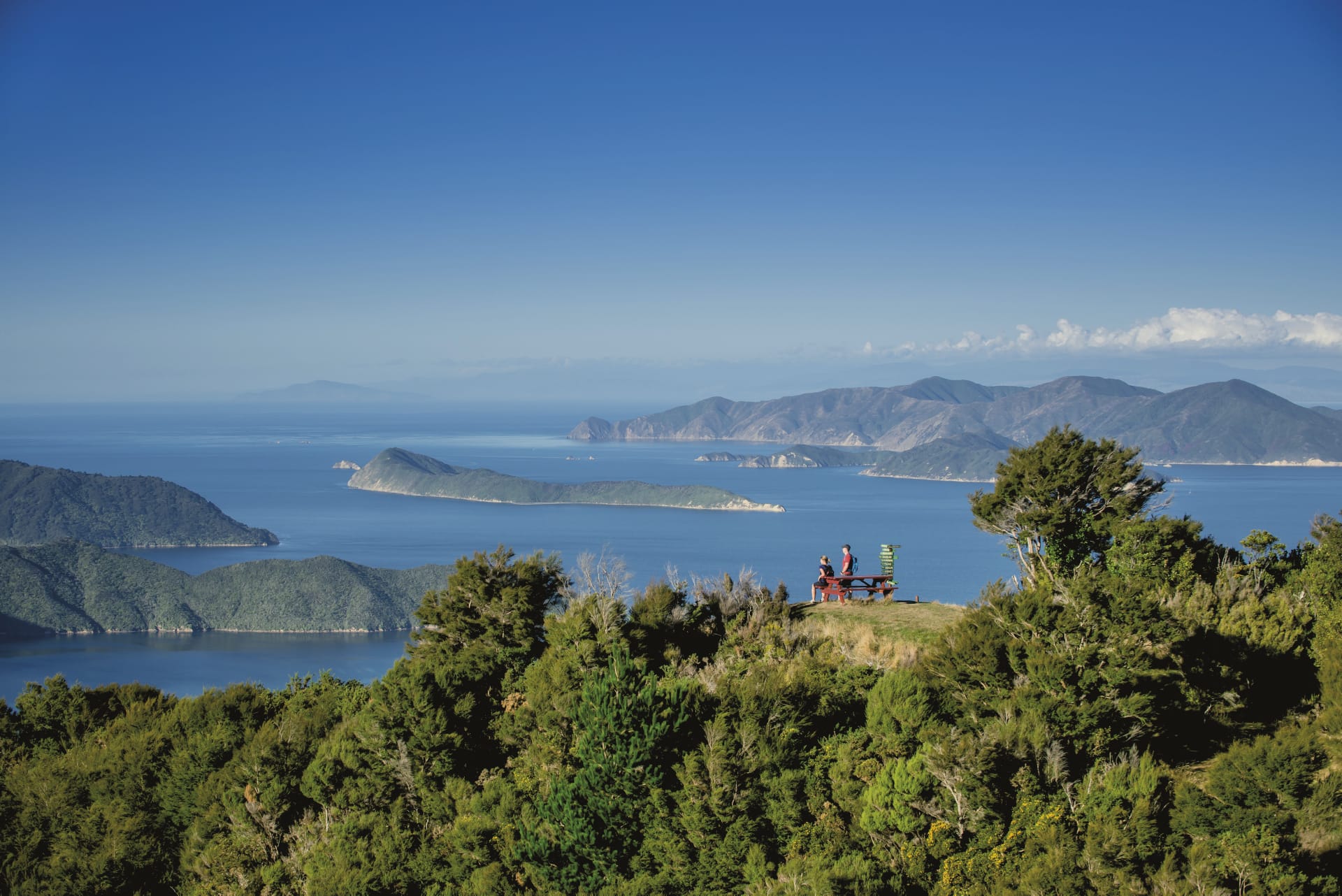 NZL_SIS_010_20160828_OL