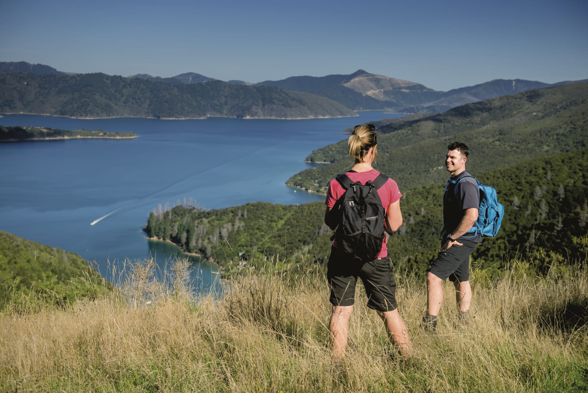 NZL_SIS_011_20160828_OL