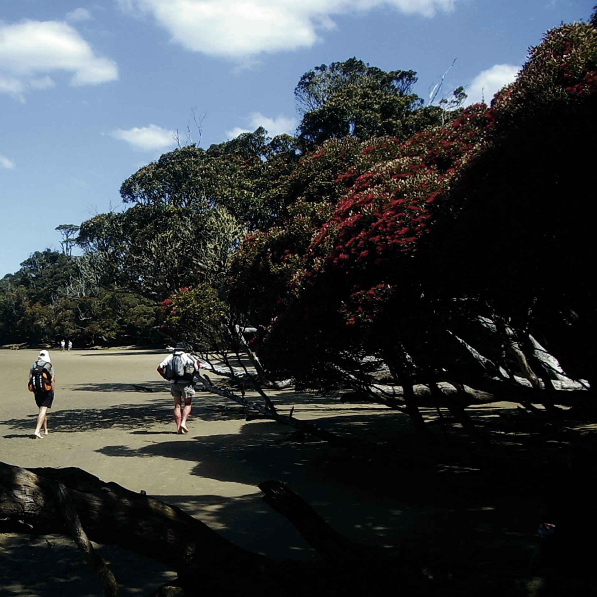 NZL_SIS_013_20140317_IvB