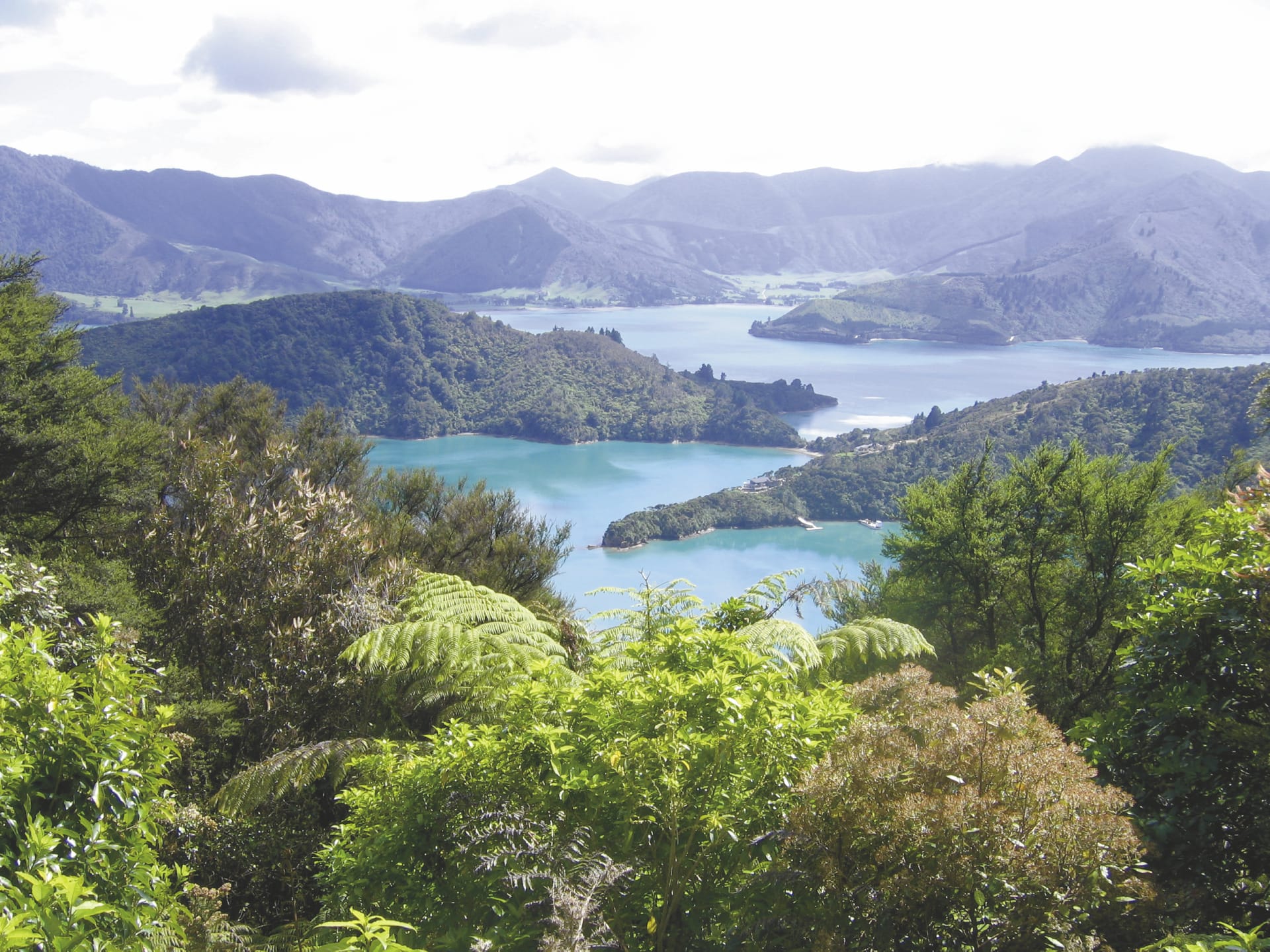 NZL_SIS_014_20070913_SS