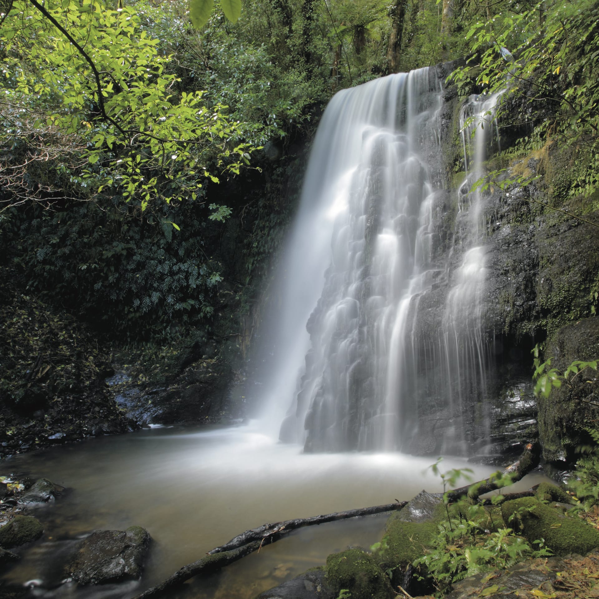 NZL_SIS_016_20140317_IvB