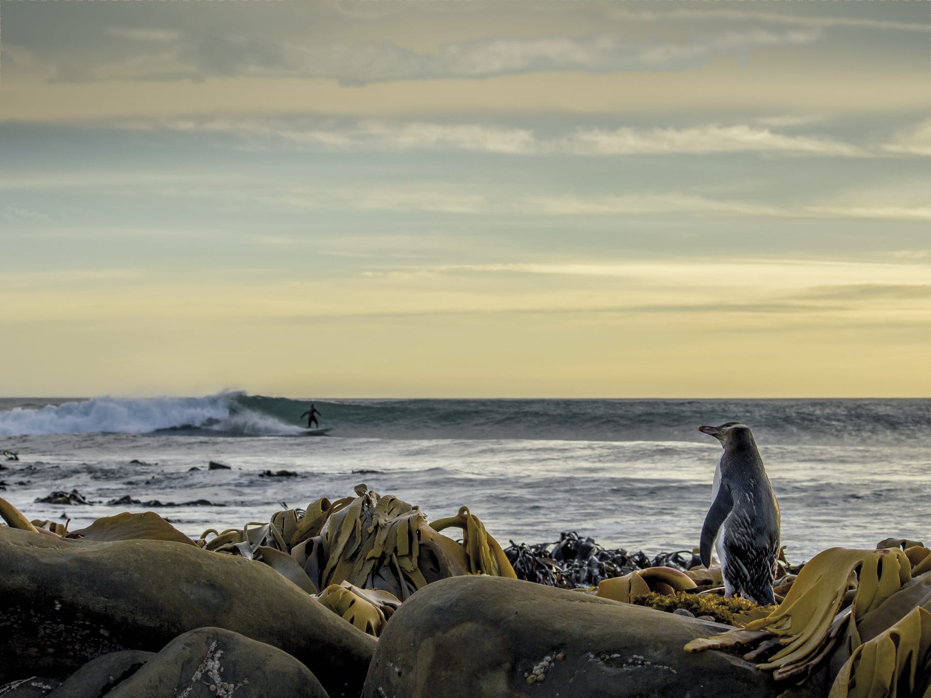 NZL_SIS_017_20140317_IvB