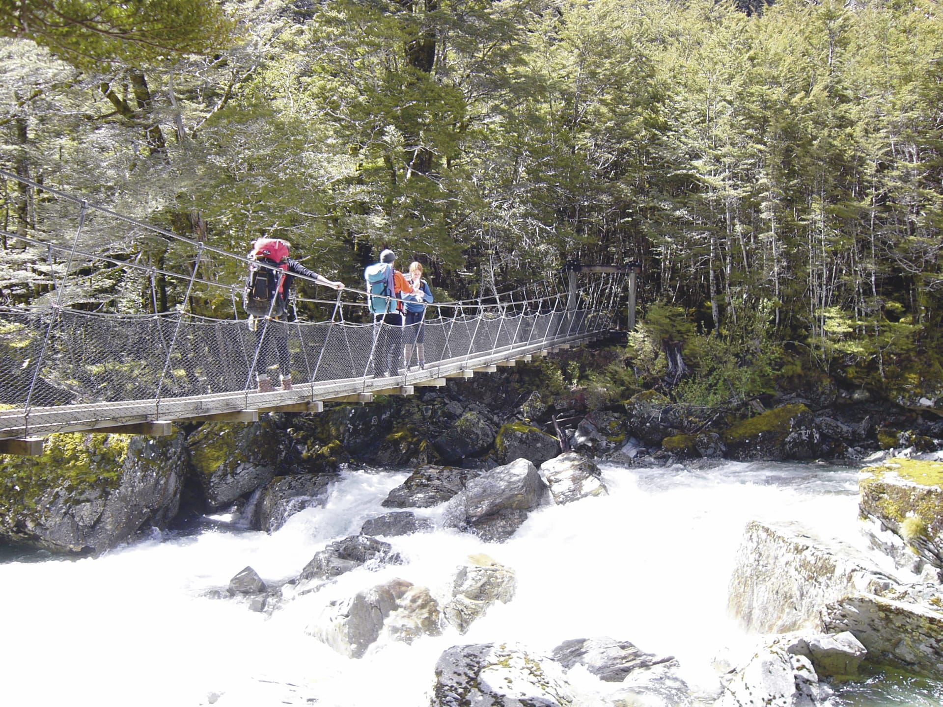 NZL_SIS_030_20080416_SS