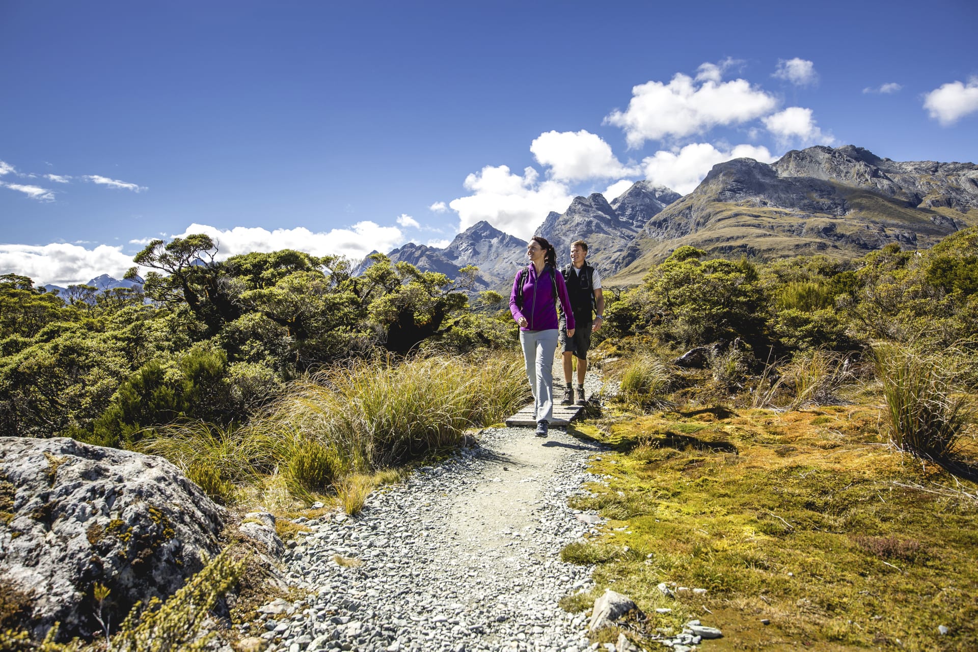 NZL_SIS_039_20150821_DIA