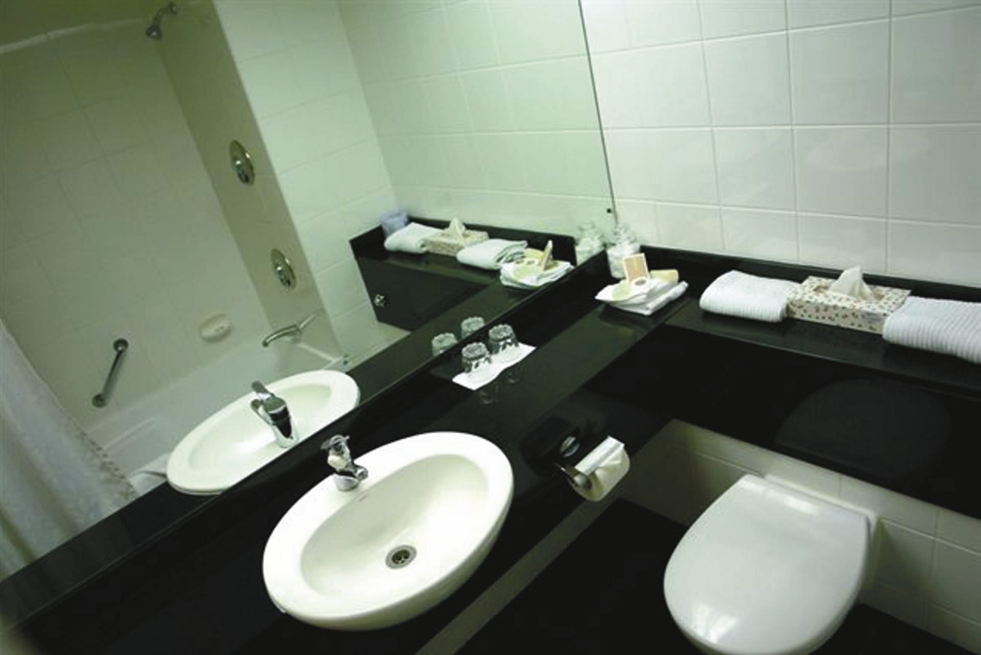 NZL_SIS_041_20090306_SS