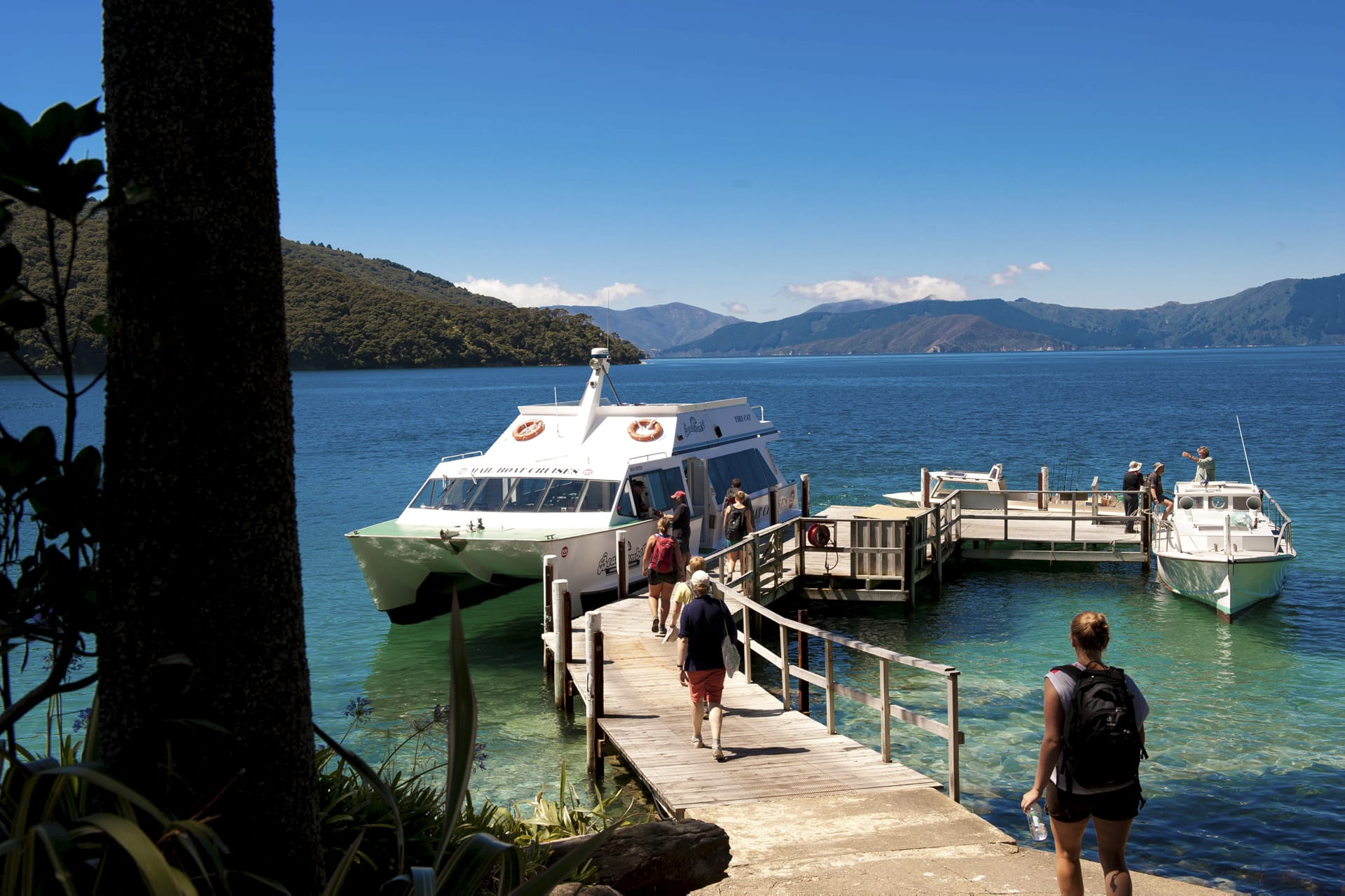 NZL_SIS_048_20150826_DIA