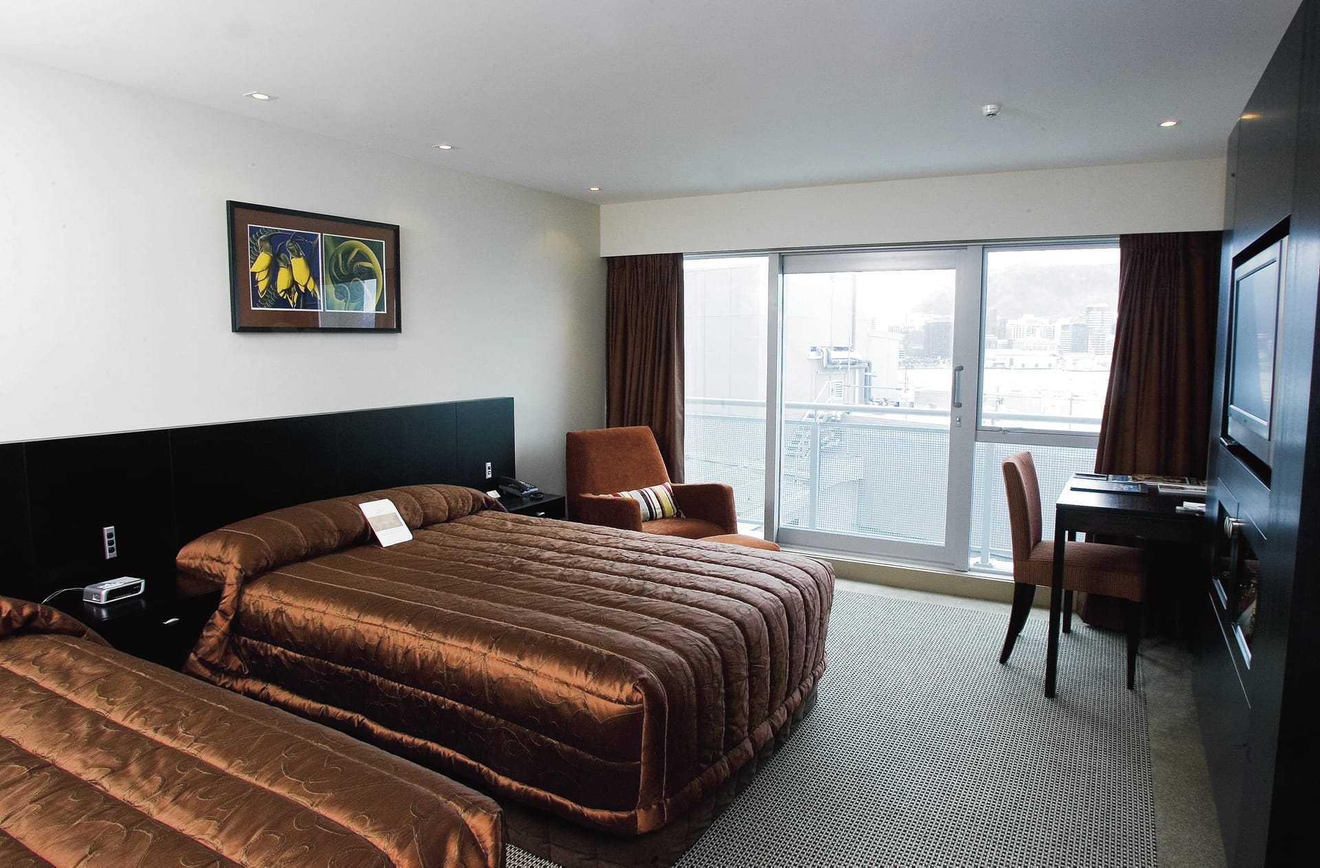 NZL_SIS_049_20100908_SS