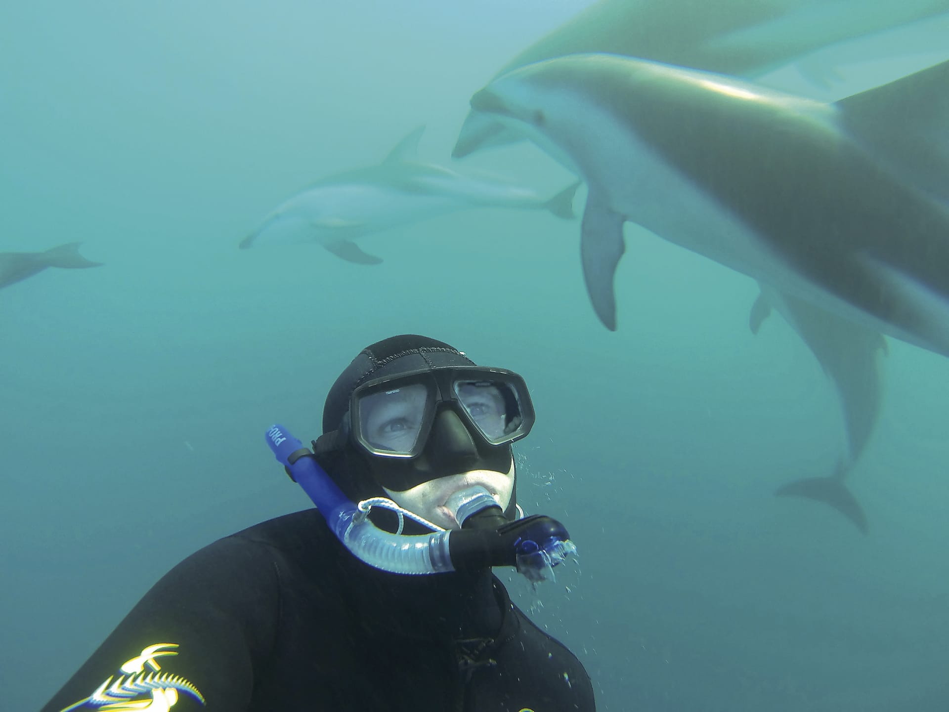 NZL_SIS_053_20150828_DIA