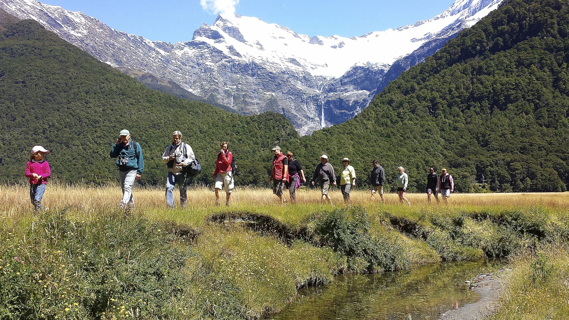 NZL_SIS_080_20150831_DIA