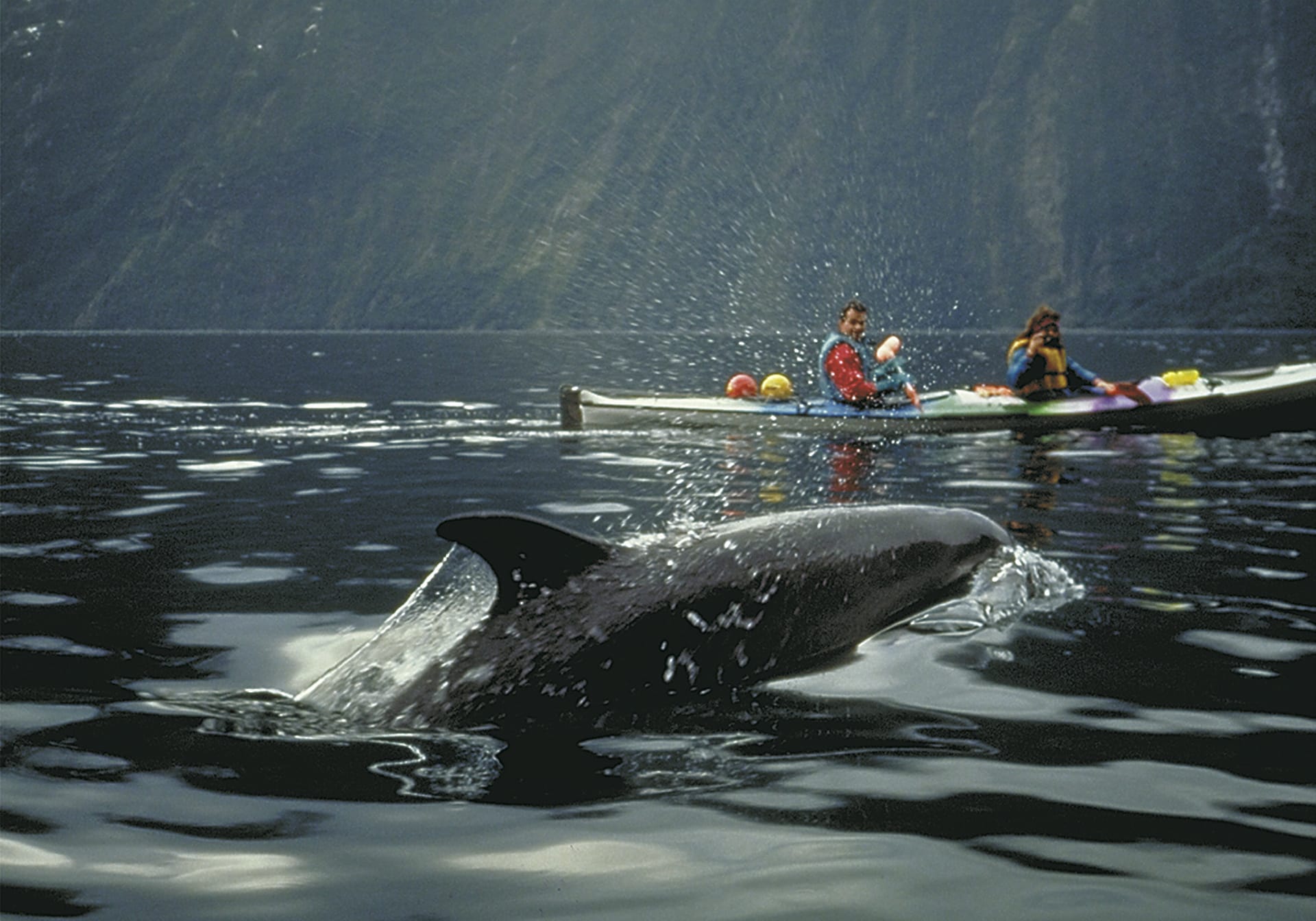 NZL_SIS_095_20070917_SS