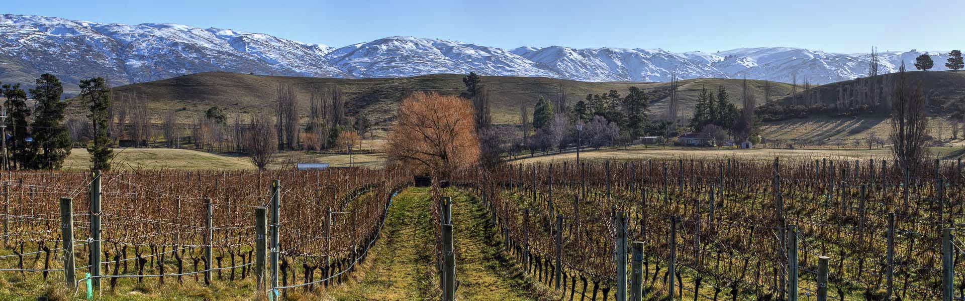 NZL_SIS_117_20150910_DIA