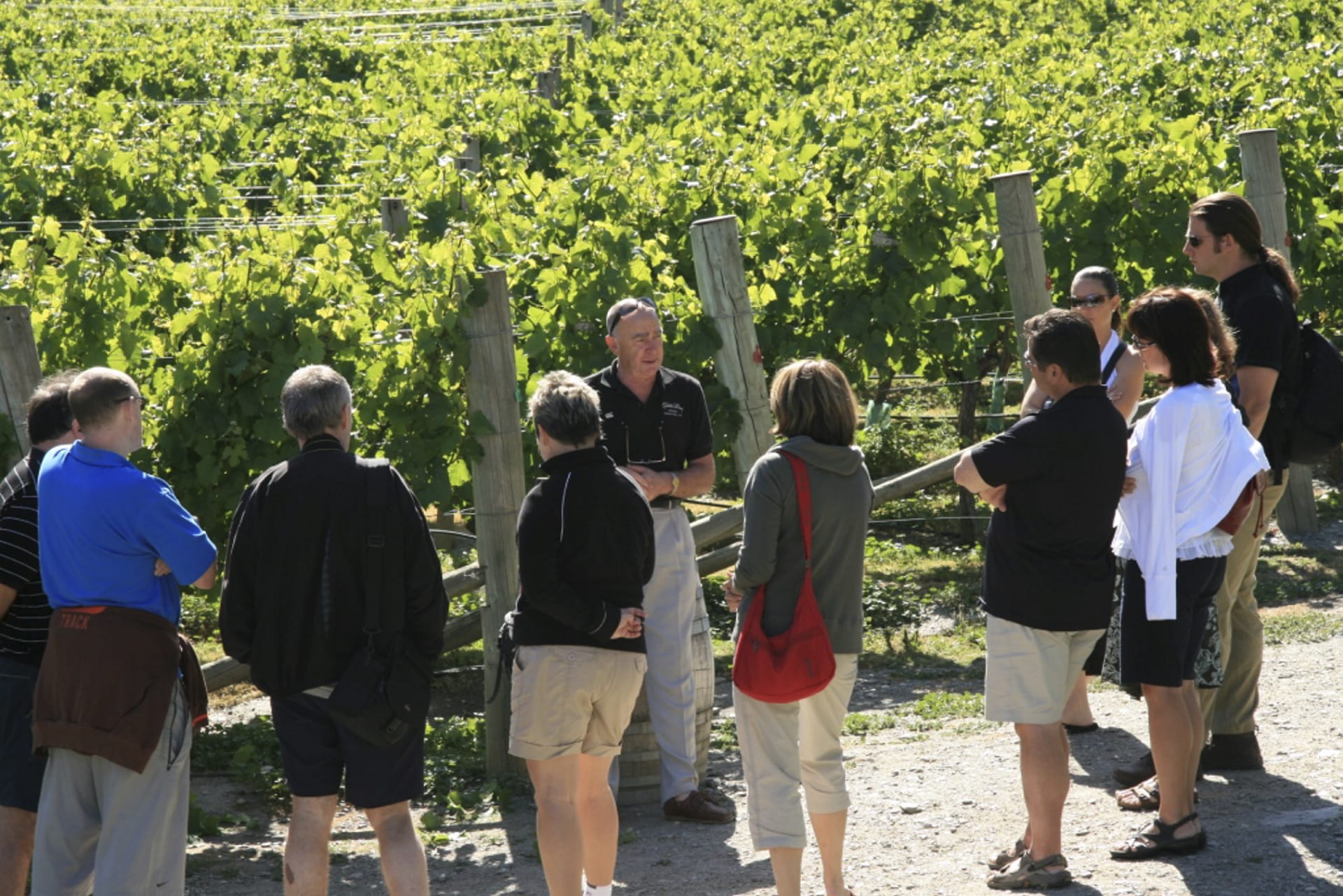 NZL_SIS_124_20150910_DIA