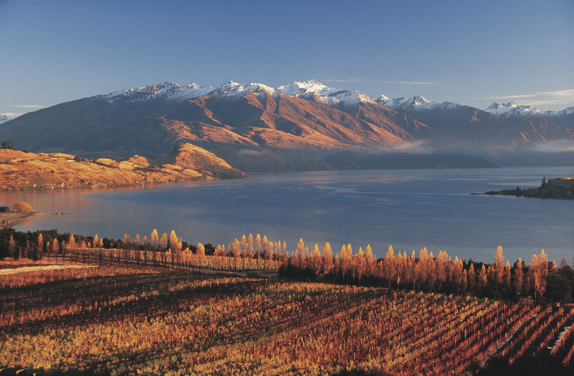 NZL_SIS_125_20120103_ss