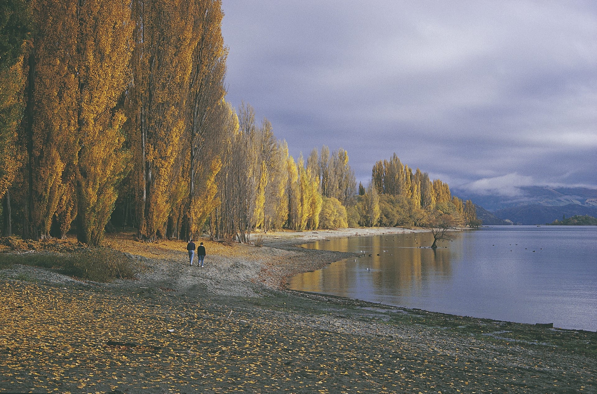 NZL_SIS_132_20070917_SS