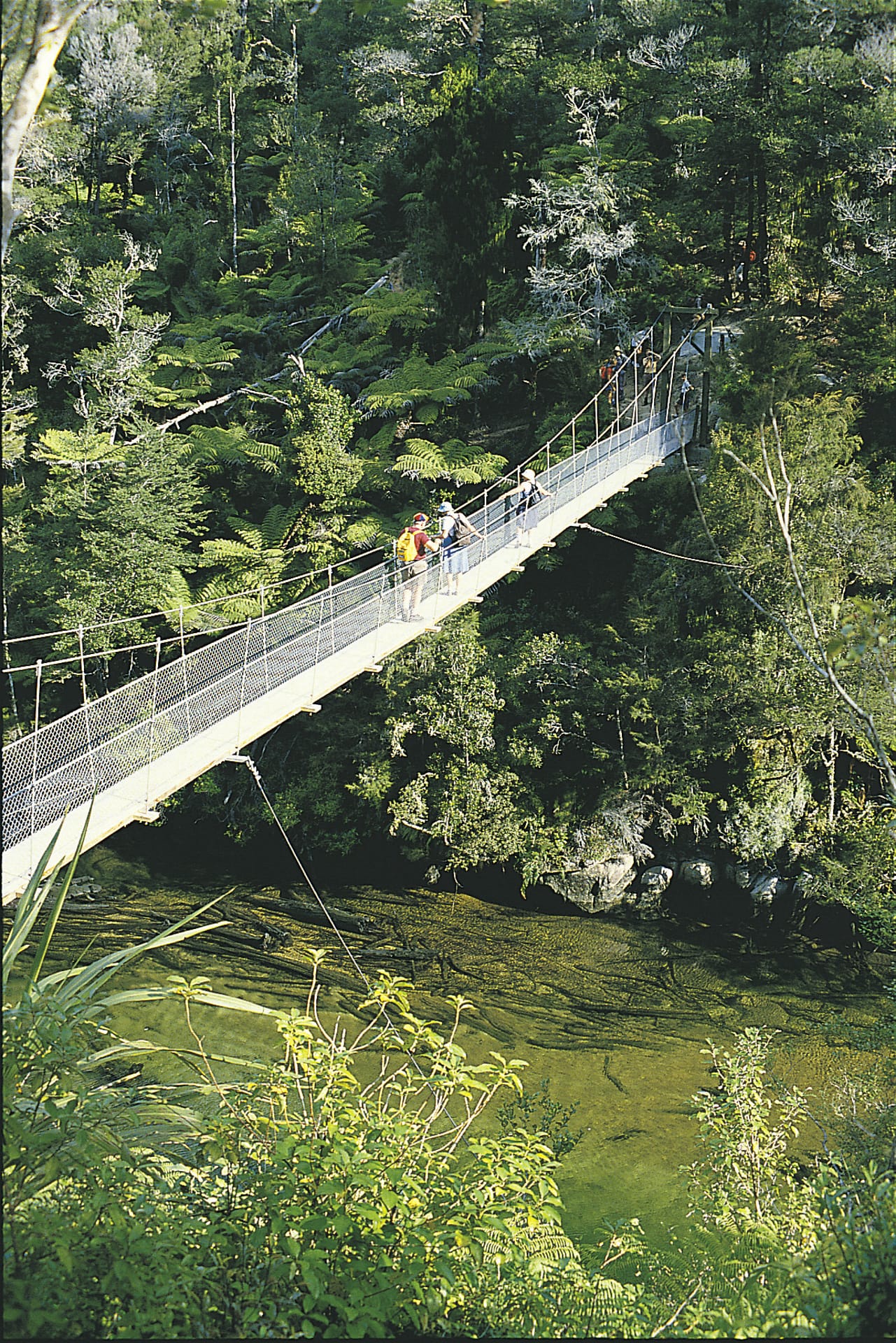 NZL_SIS_134_20070302_BR