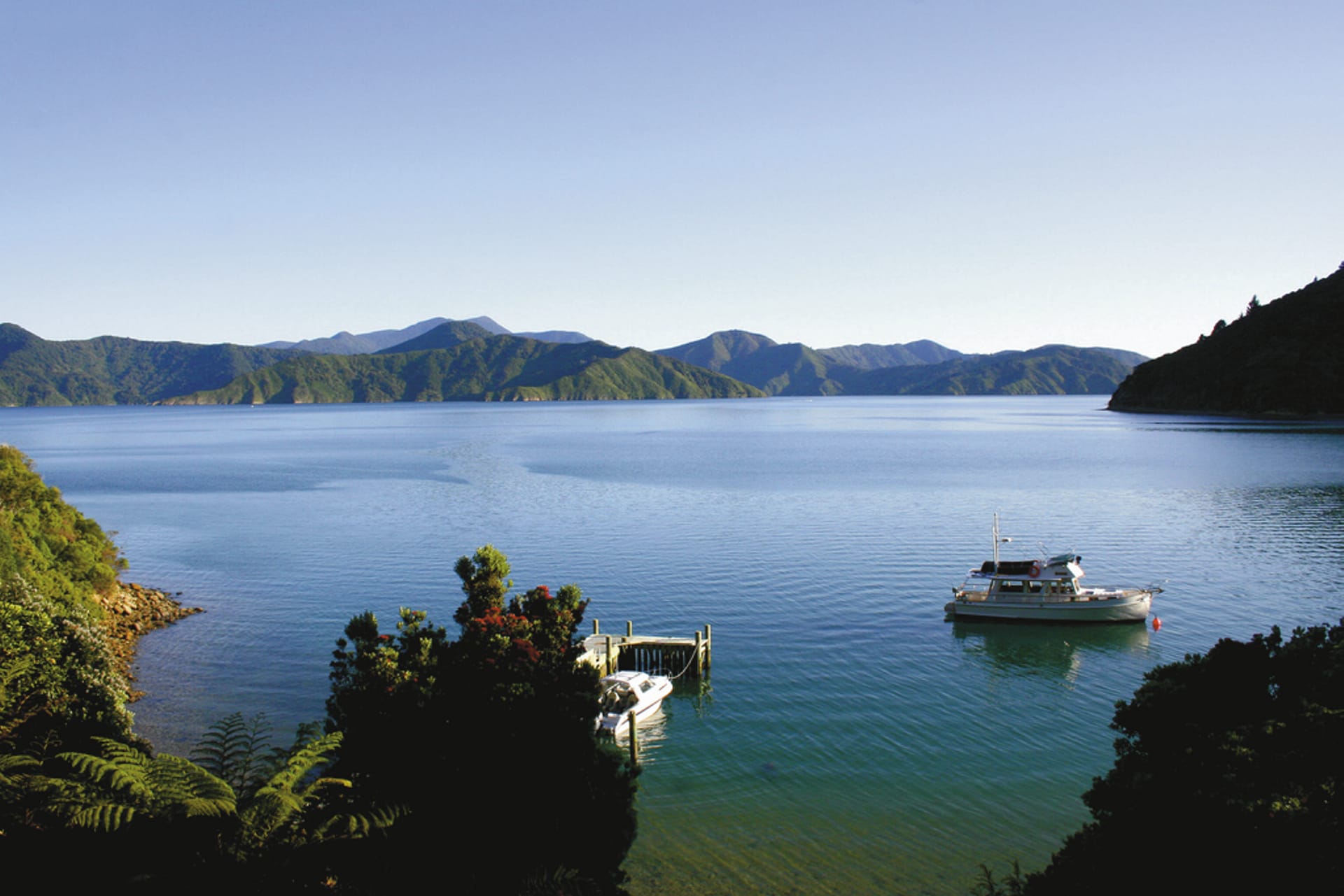 NZL_SIS_150_20080904_IVB