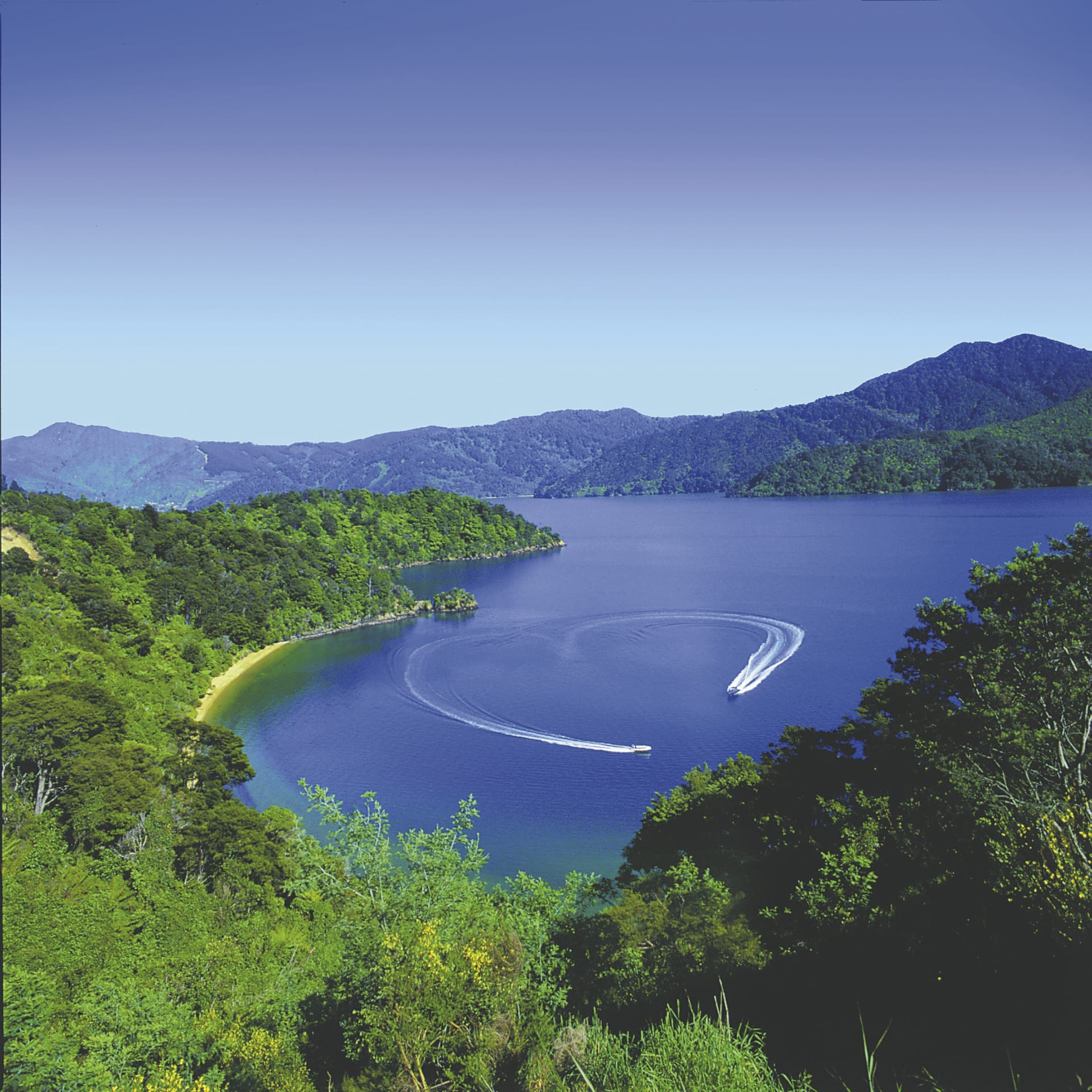 NZL_SIS_156_20070917_SS