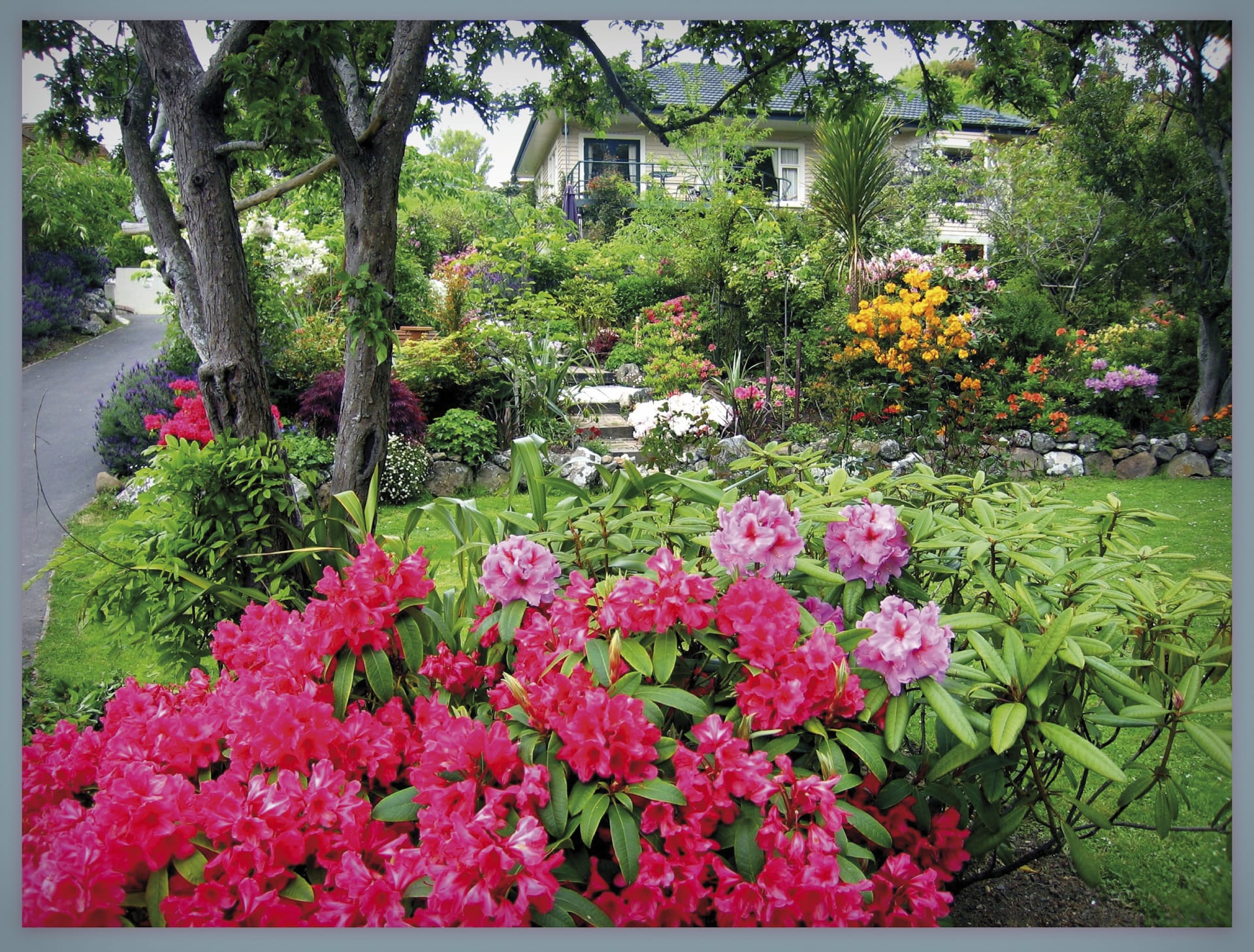 NZL_SIS_164_20150928_DIA