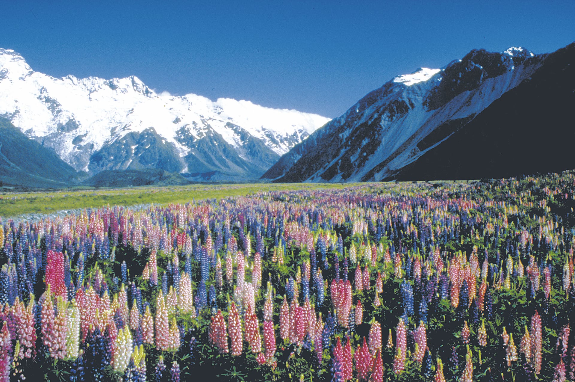 NZL_SIS_185_20070308_BR