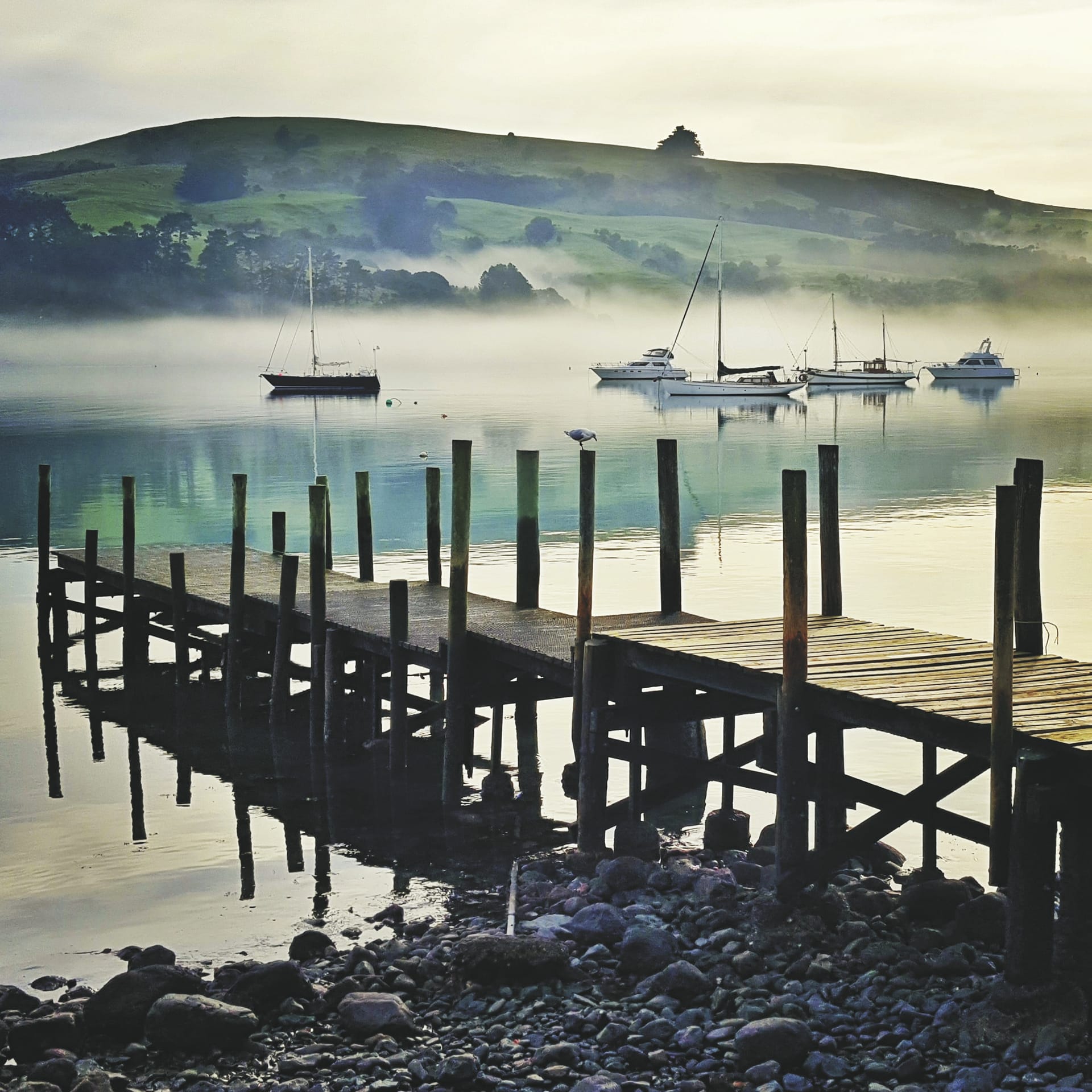 NZL_SIS_20181004_OL_2_1