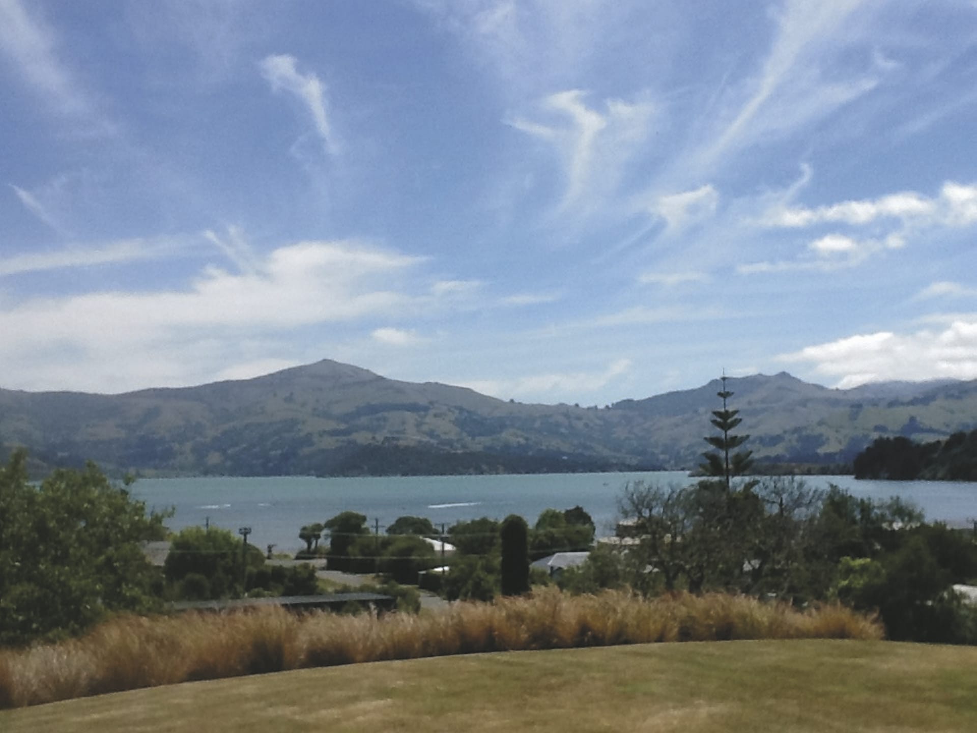 NZL_SIS_20181015_OL_2_2