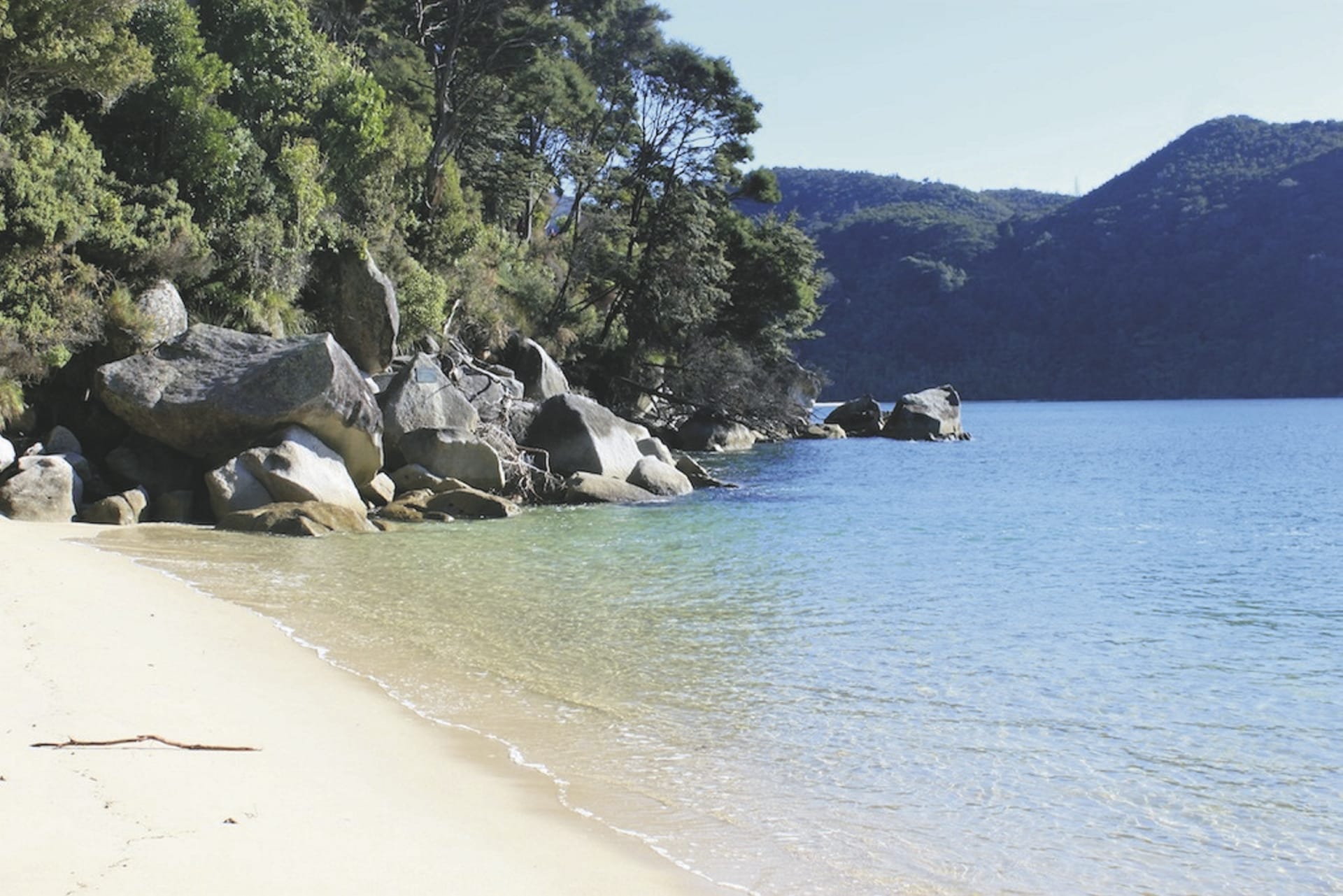 NZL_SIS_20181207_EI_9