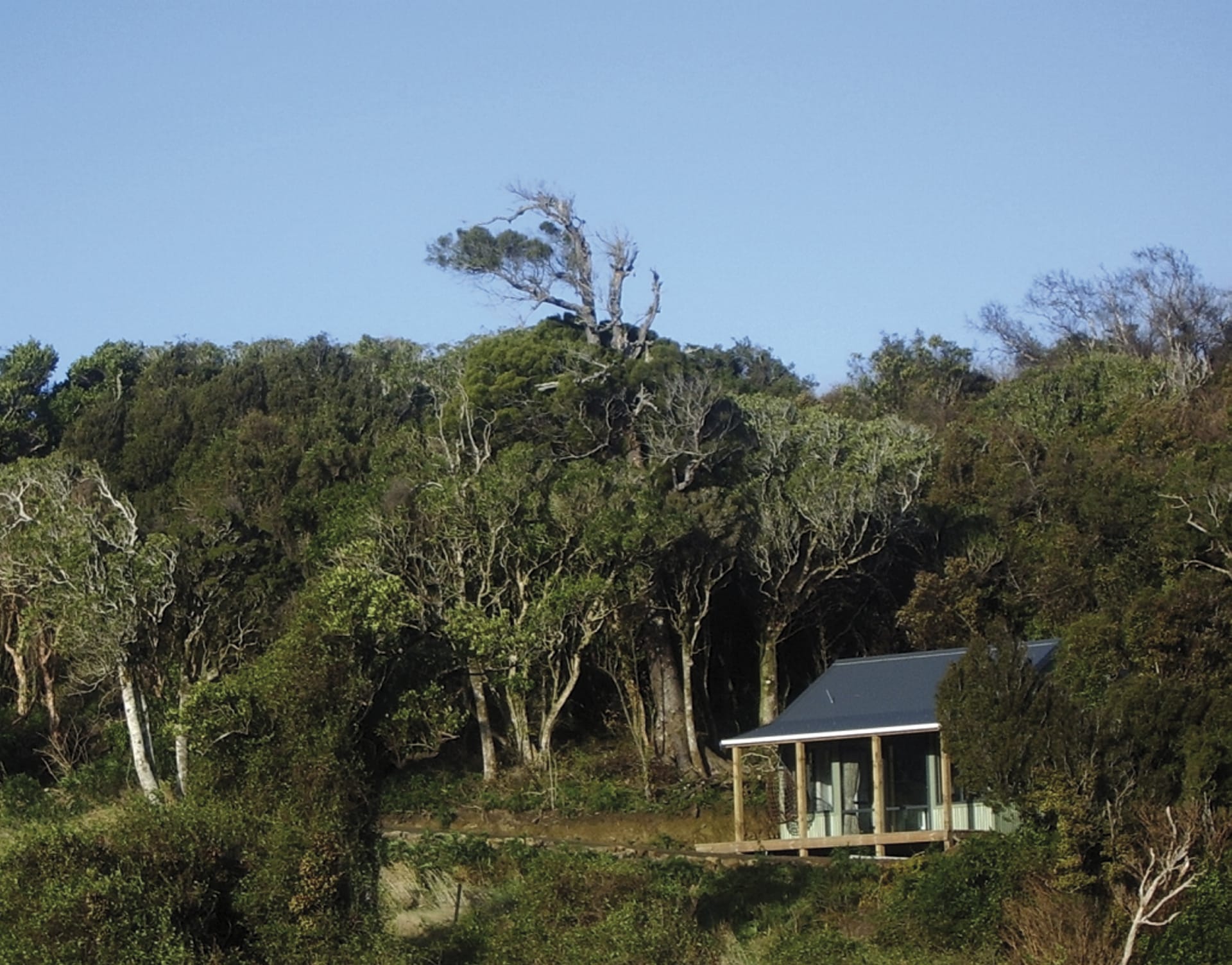 NZL_SIS_215_20121002_OL