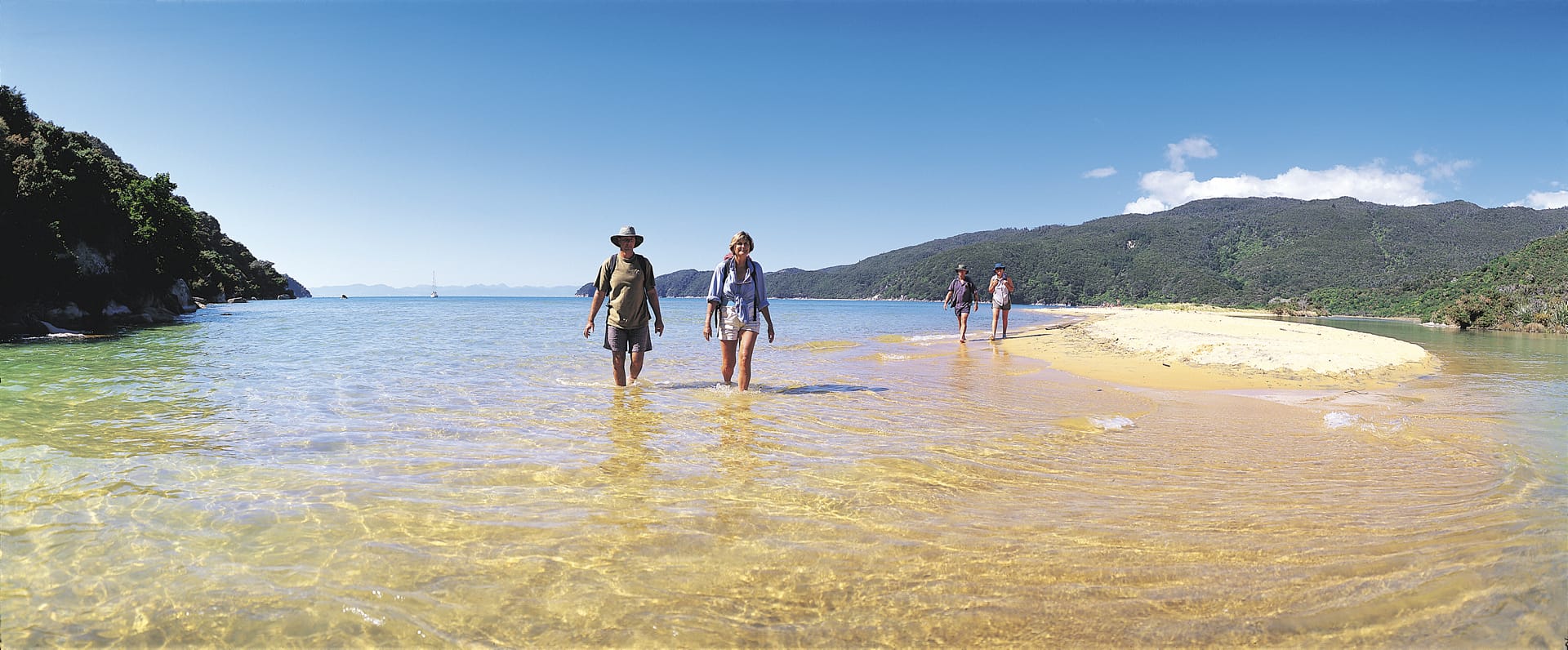 NZL_SIS_262_20121012_OL