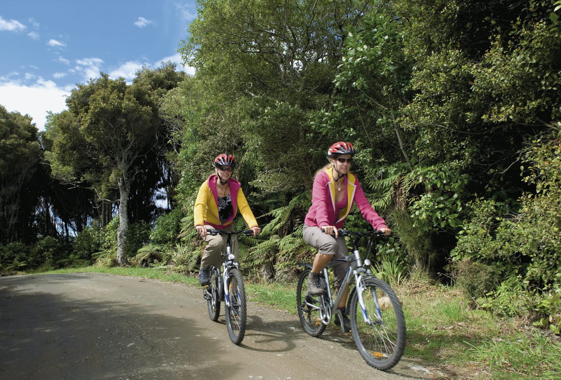 NZL_STI_062_20090623_SS