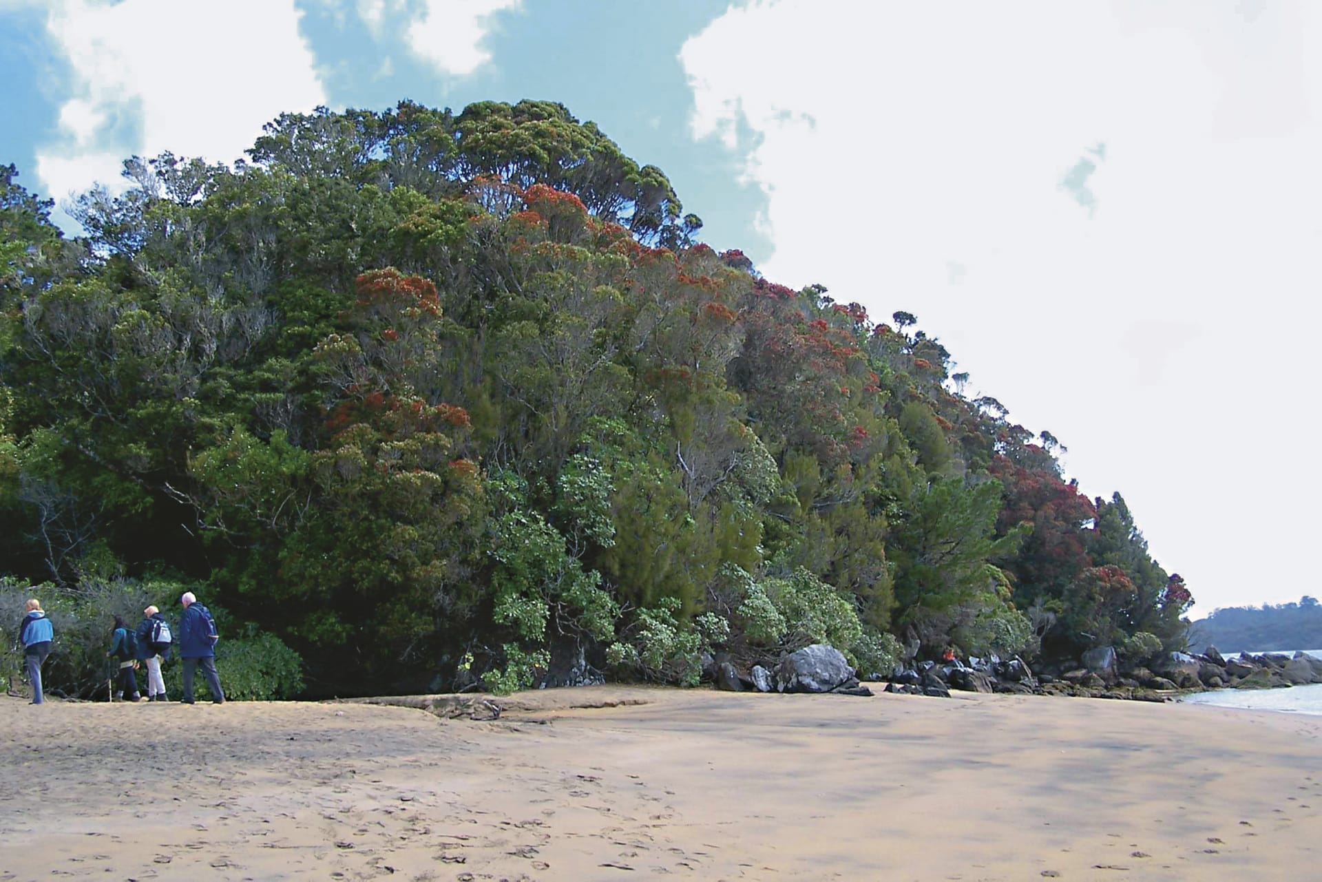 NZL_STI_208_20070308_BR