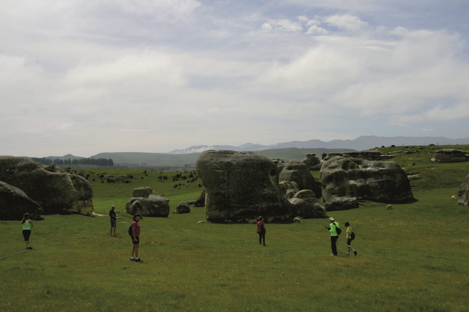 NZL_TRA_002_20160803_OL