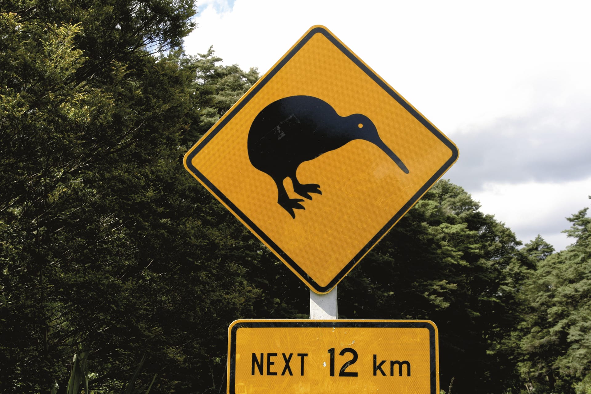 NZL_TRA_006_20160803_OL