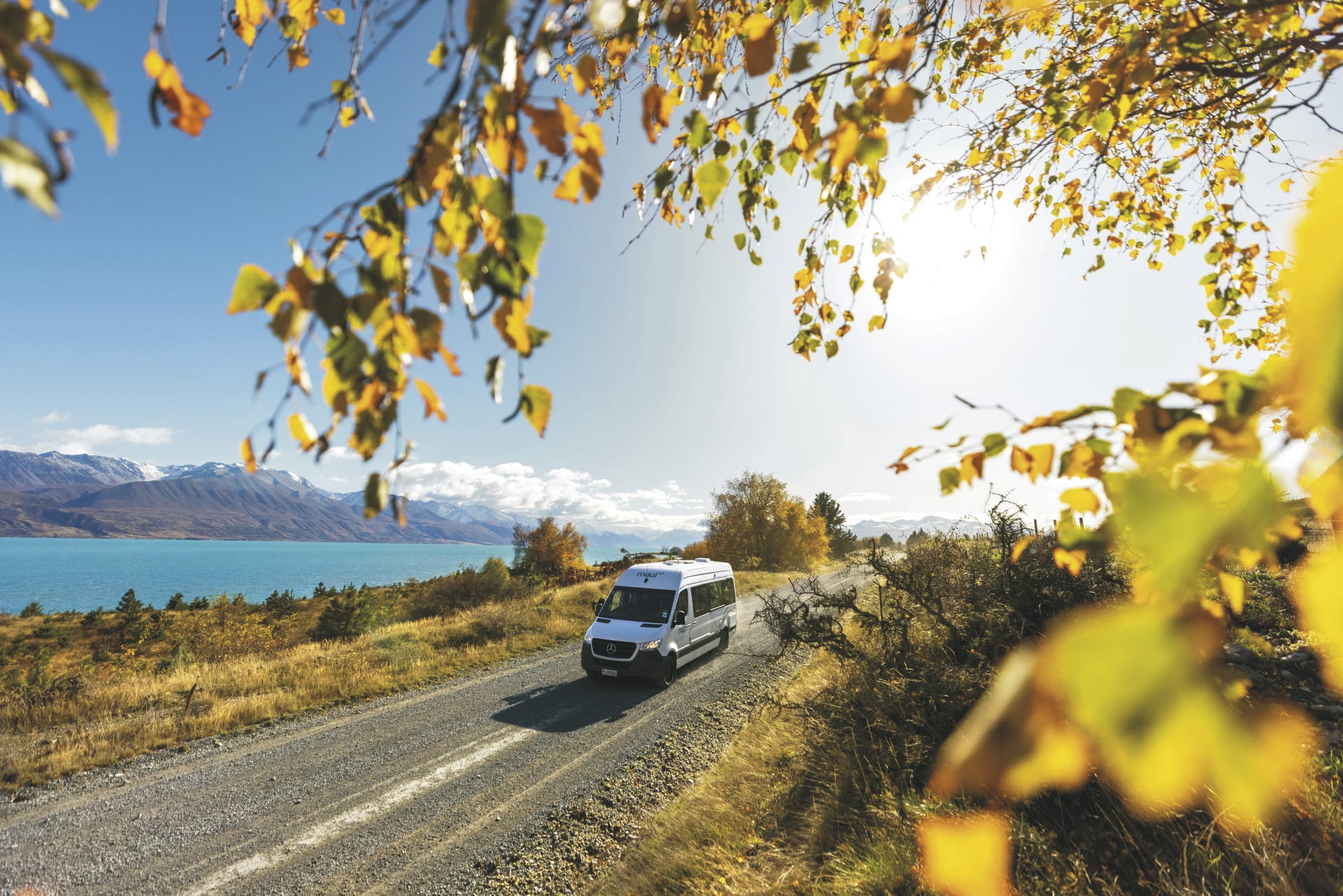 NZL_TRA_20240112_BR_1