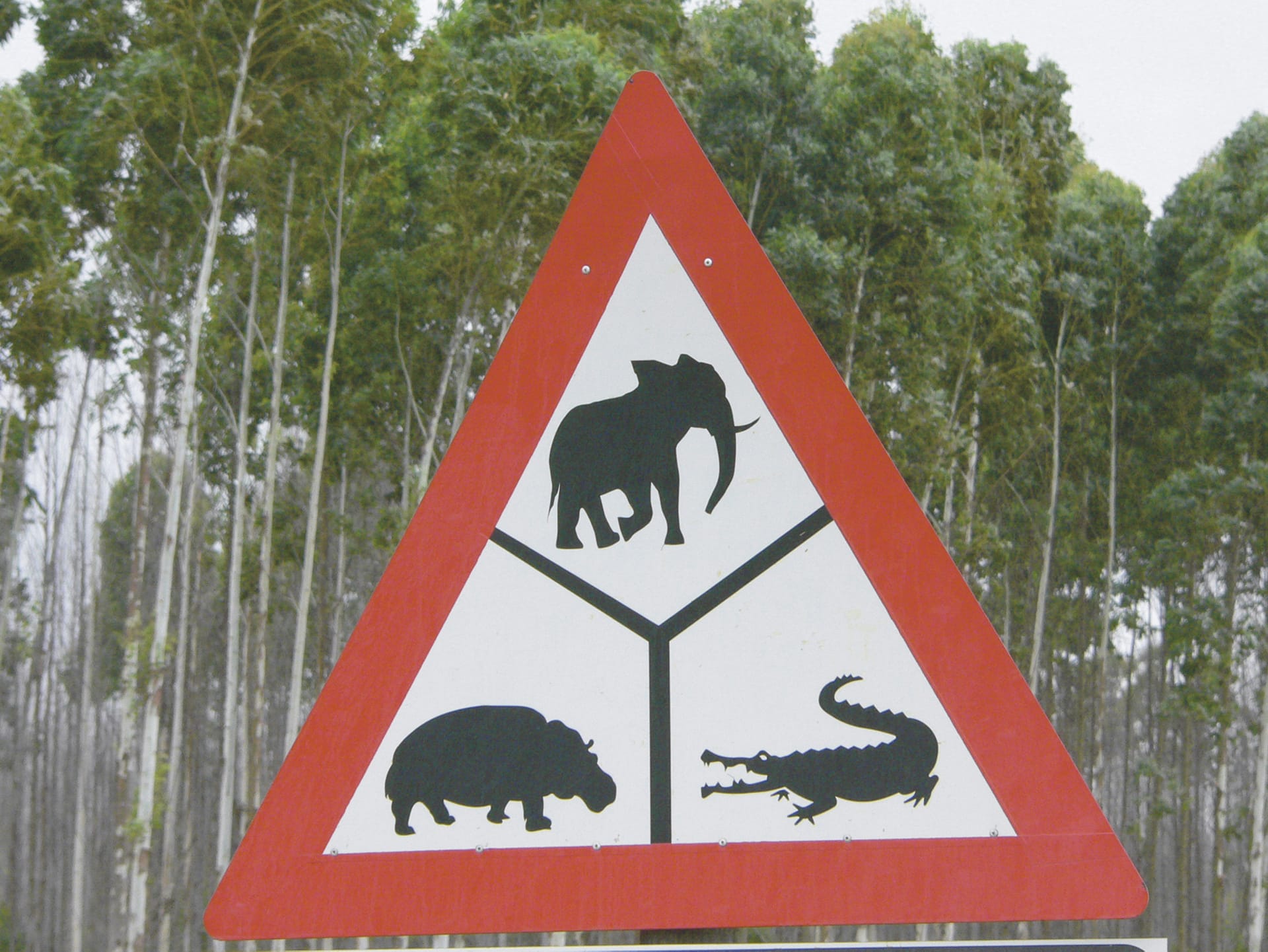 RSA_DIV_247_20070921_MM