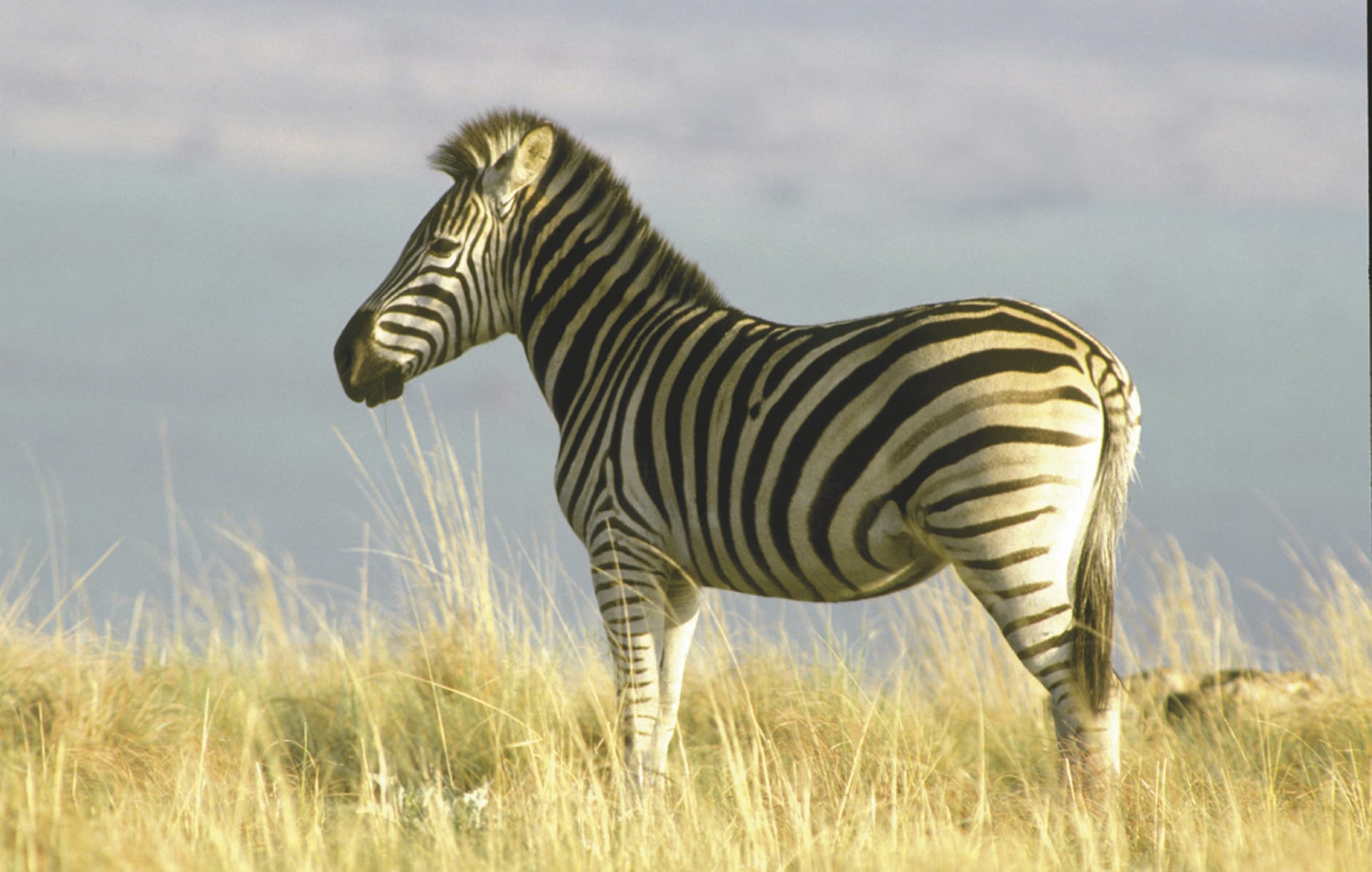 RSA_EAC_099_20070906_MM