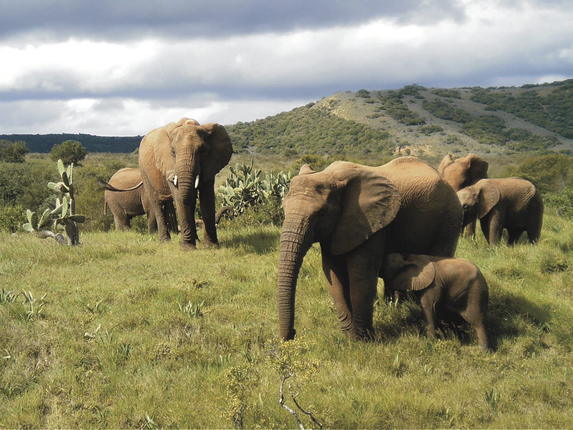 RSA_EAC_1121_20090320_SS