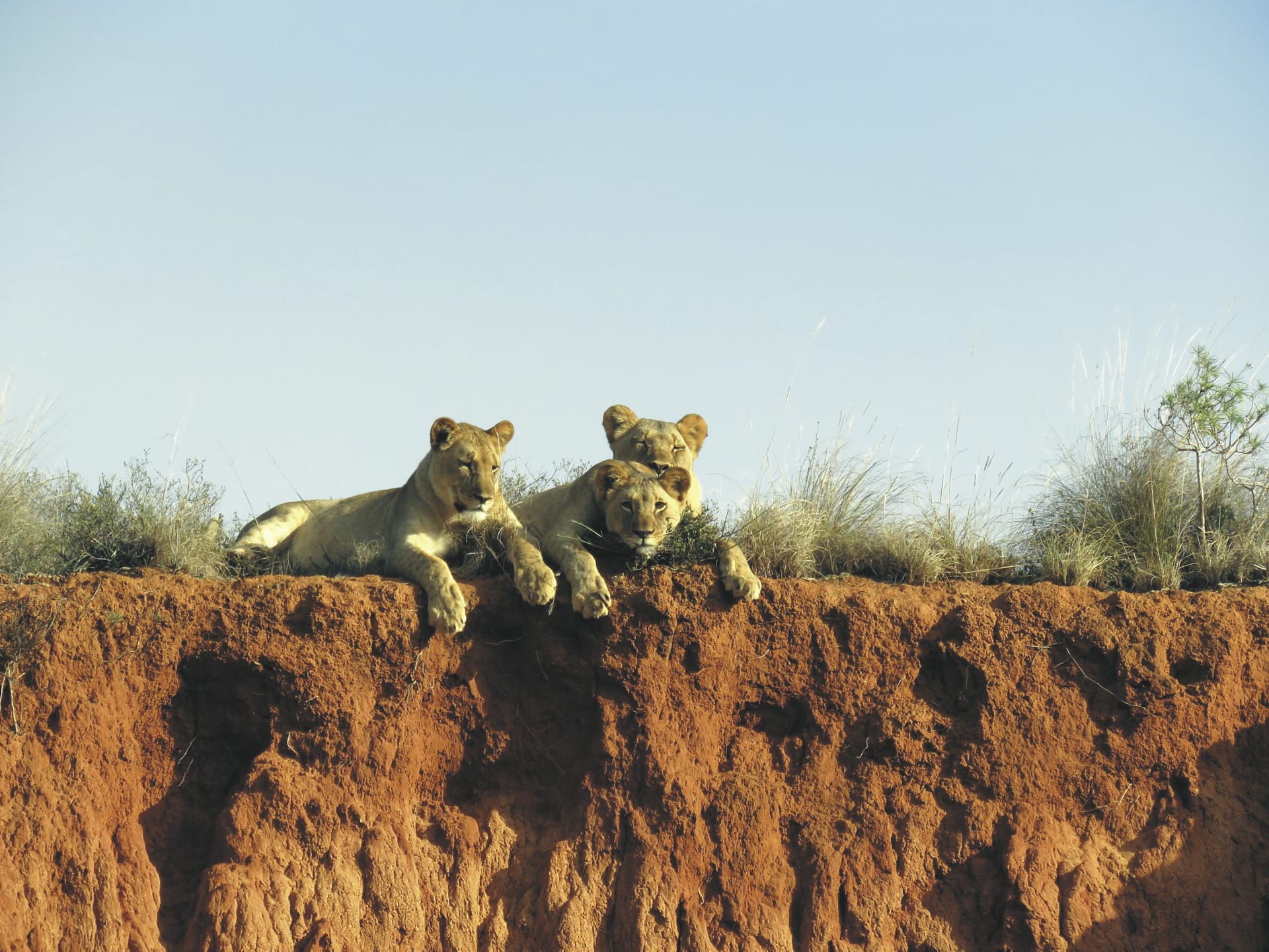 RSA_EAC_20180803_SF_1_1