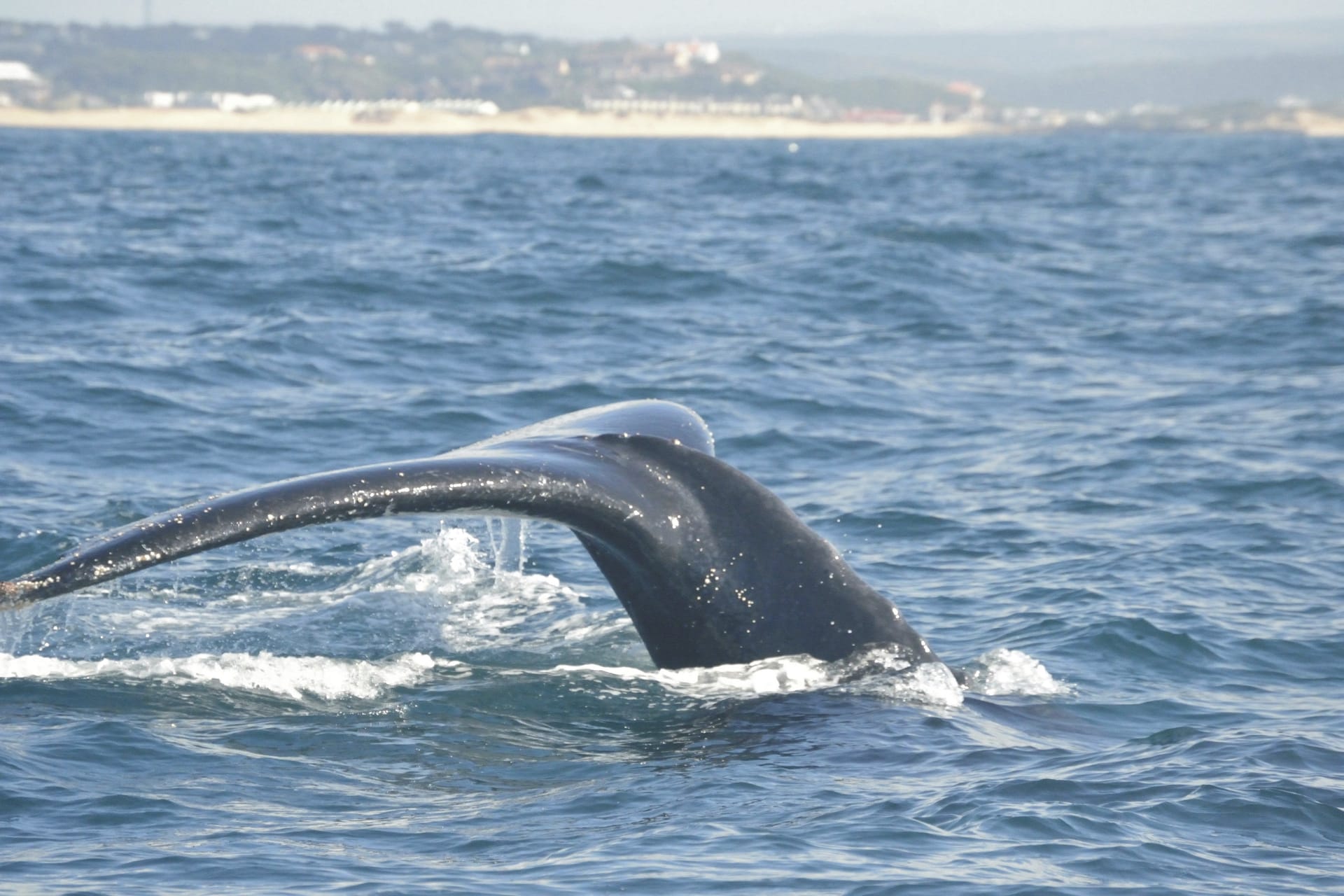 RSA_EAC_20220701_AD_17