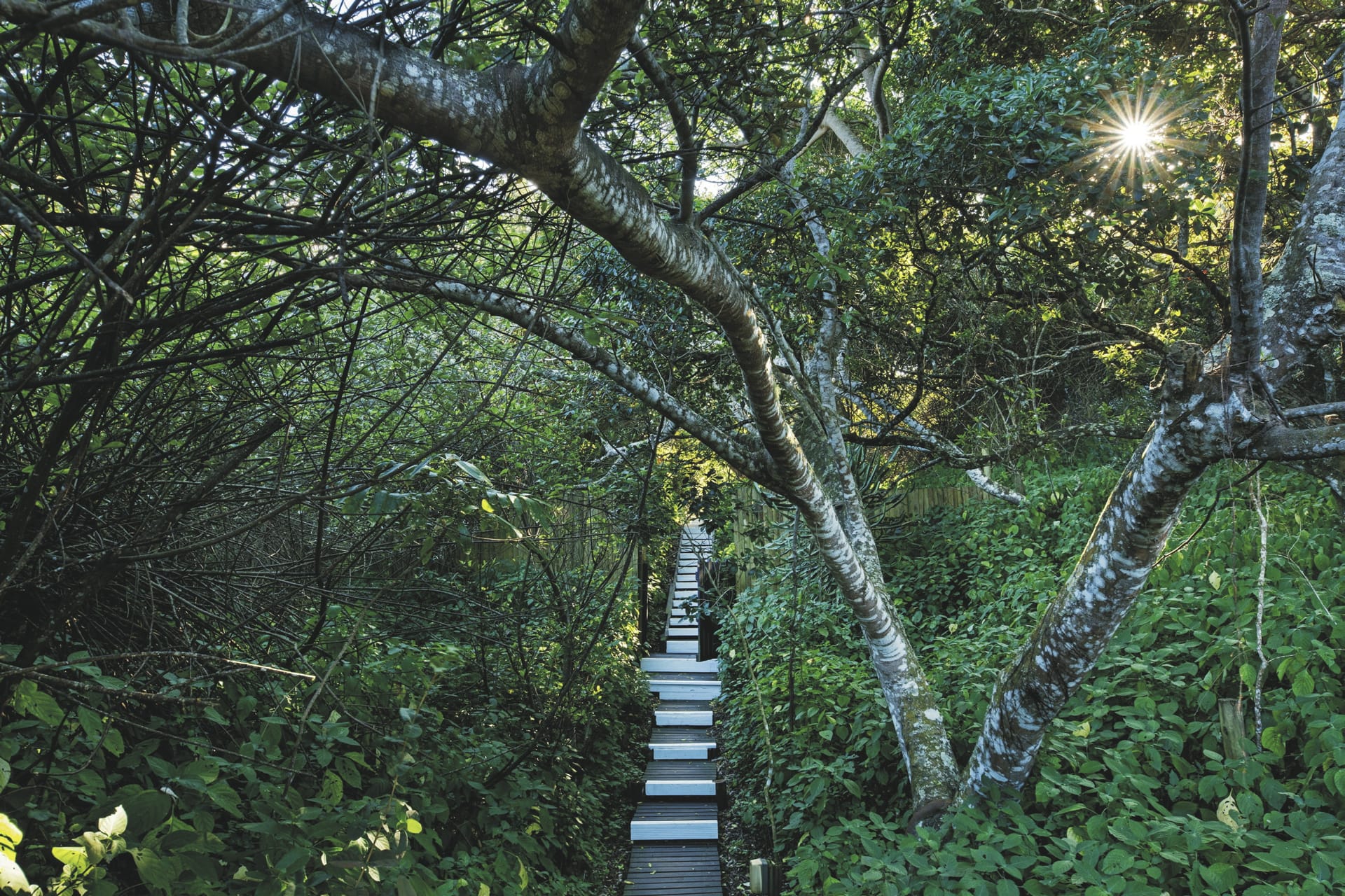 RSA_EAC_20230822_AD_18