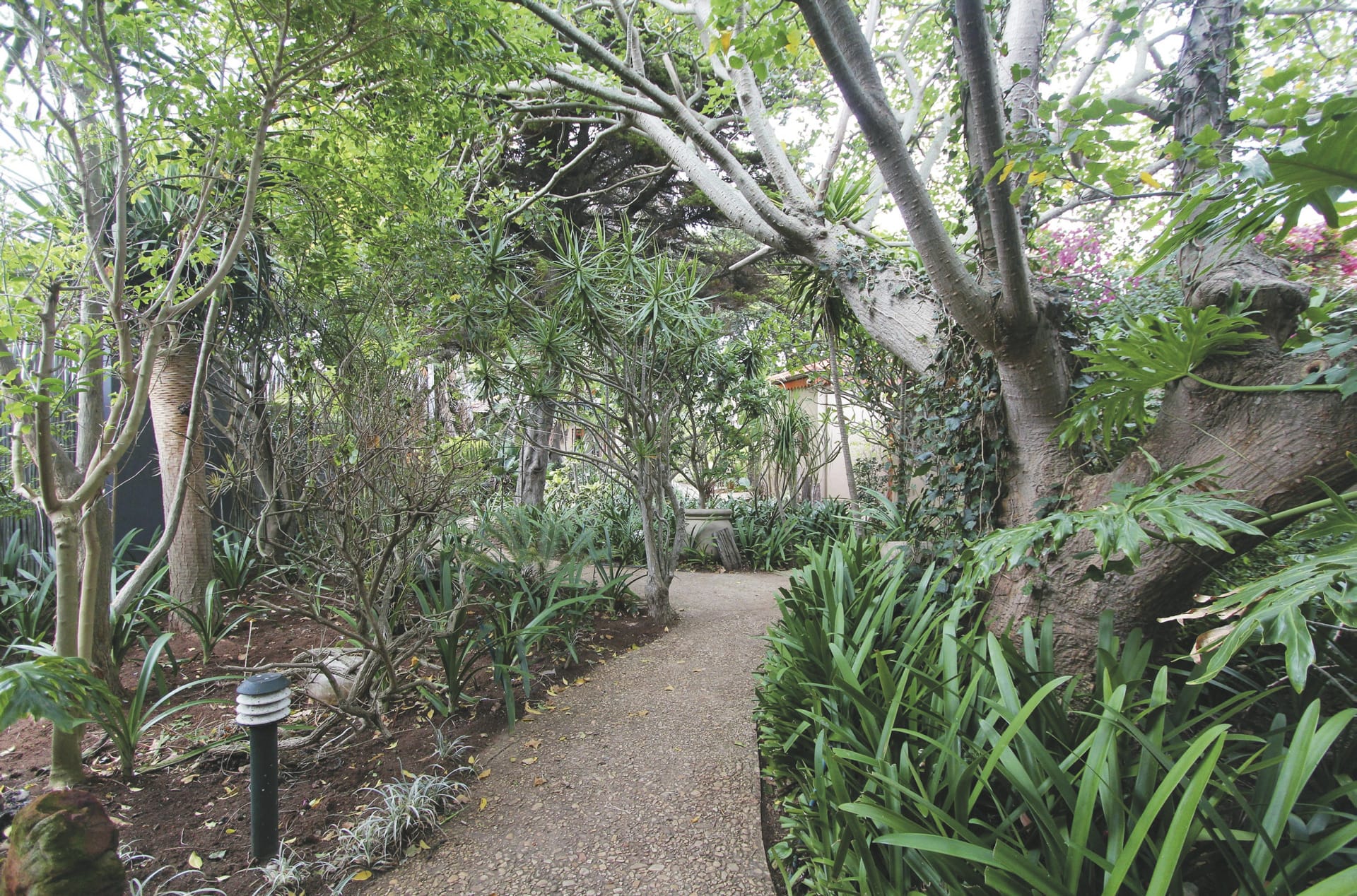 RSA_EAC_2608204_AD_1