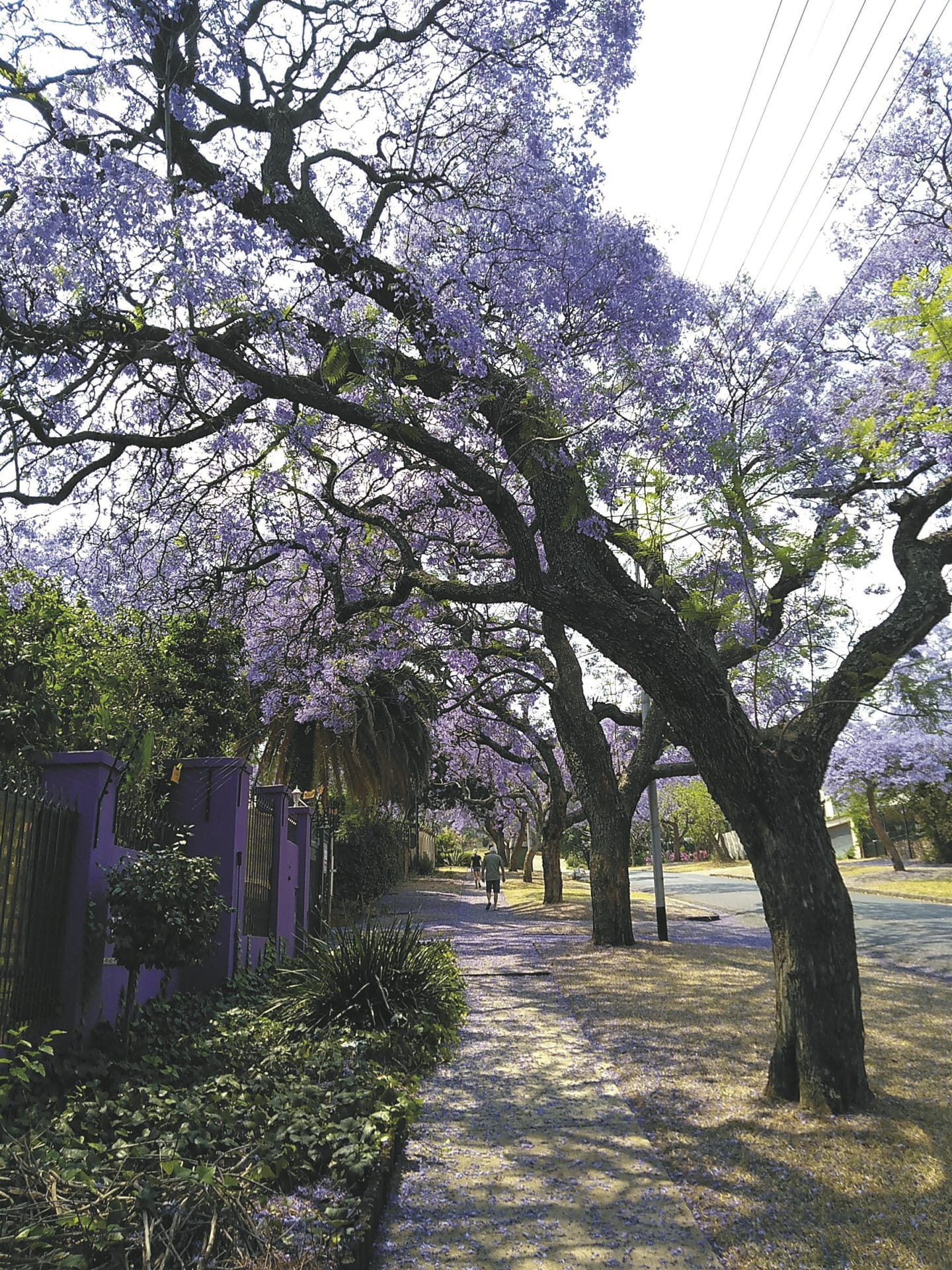 RSA_GAU_20230718_AD_300