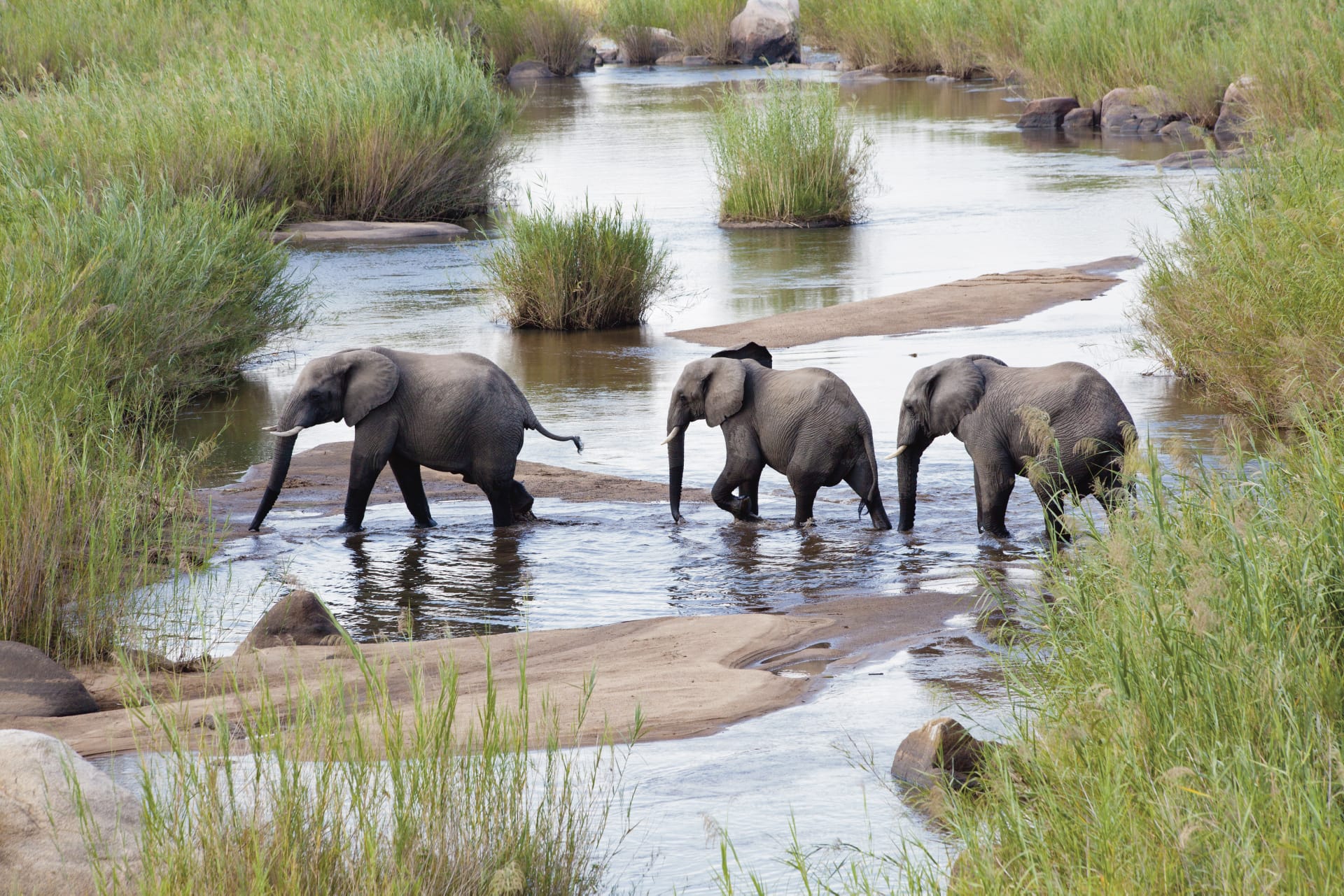 RSA_KZN_001_20170619_ss