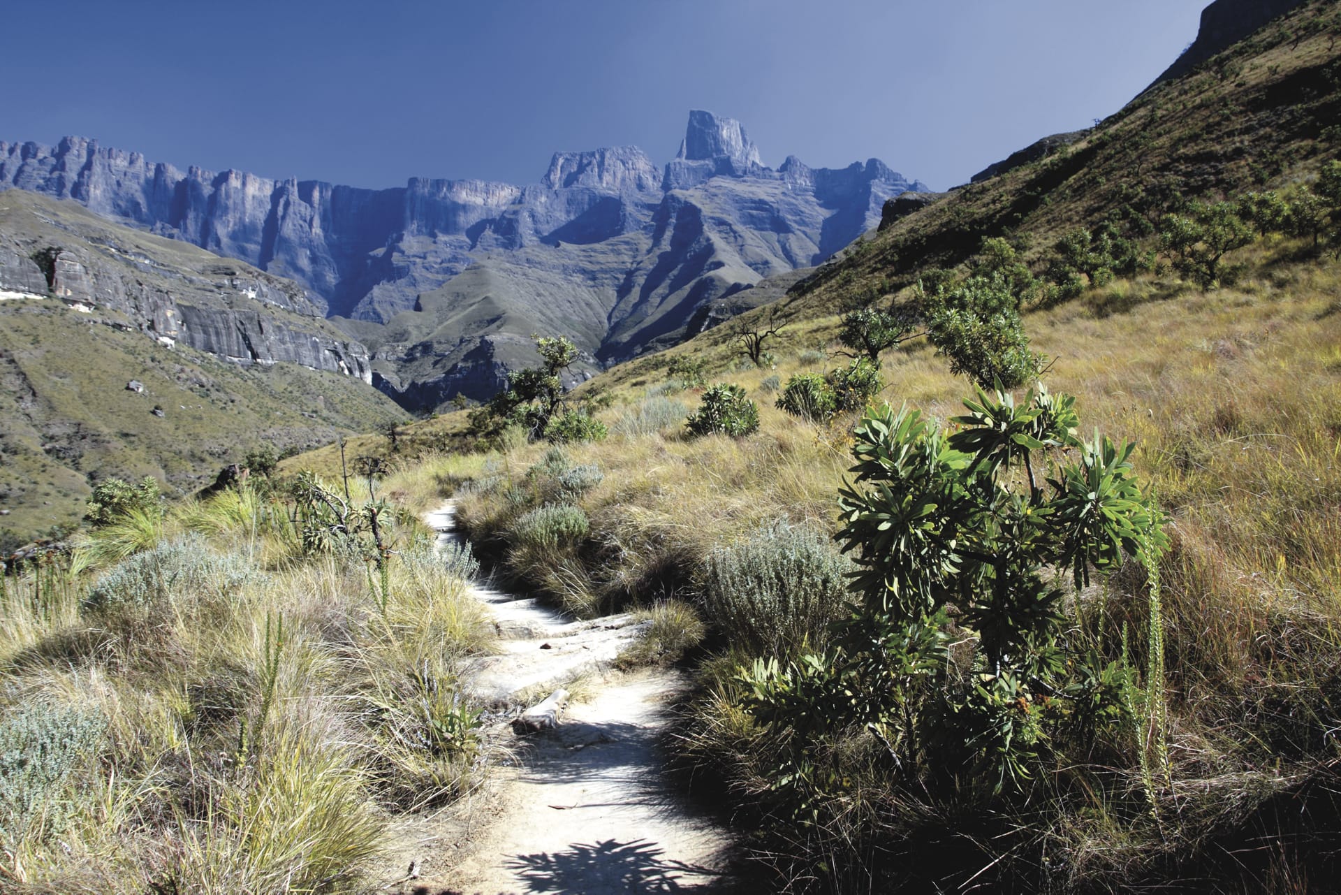 RSA_KZN_099_20100722_SS