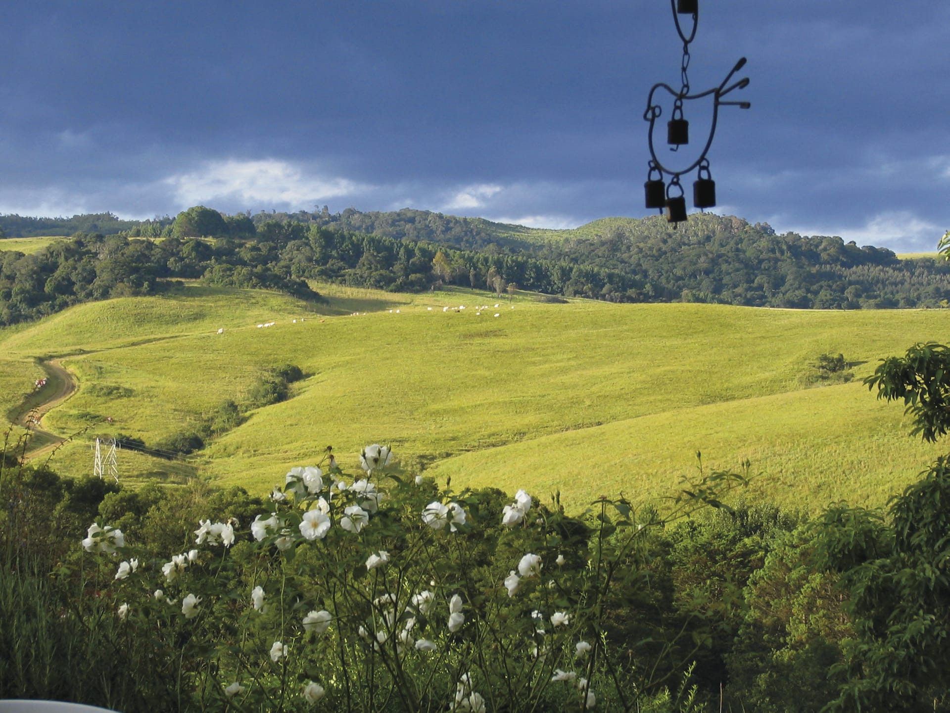 RSA_KZN_1426_20130321_AD