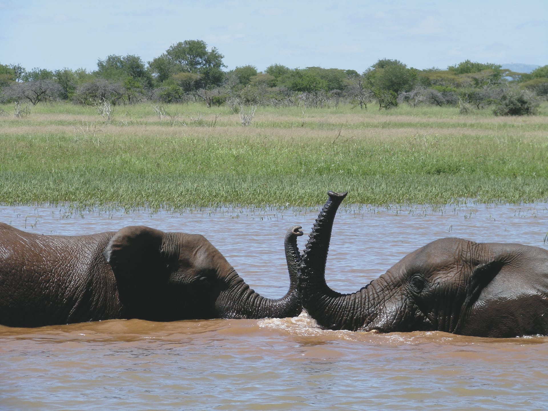 RSA_KZN_20180810_SF_24