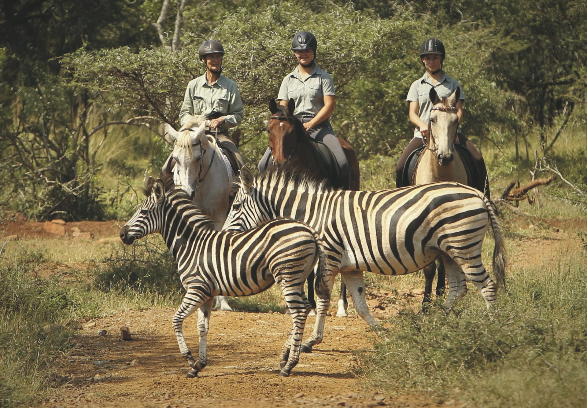 RSA_KZN_20220317_AD_4