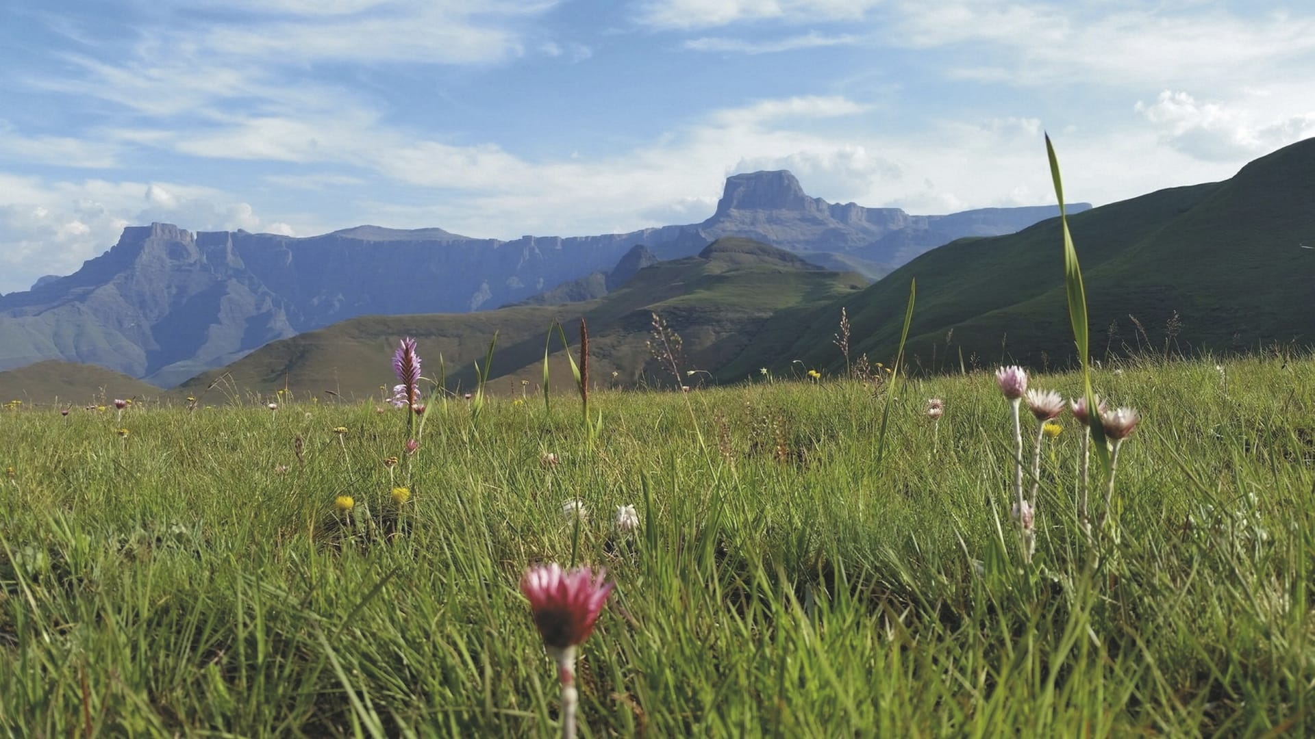 RSA_KZN_20230717_AD_28