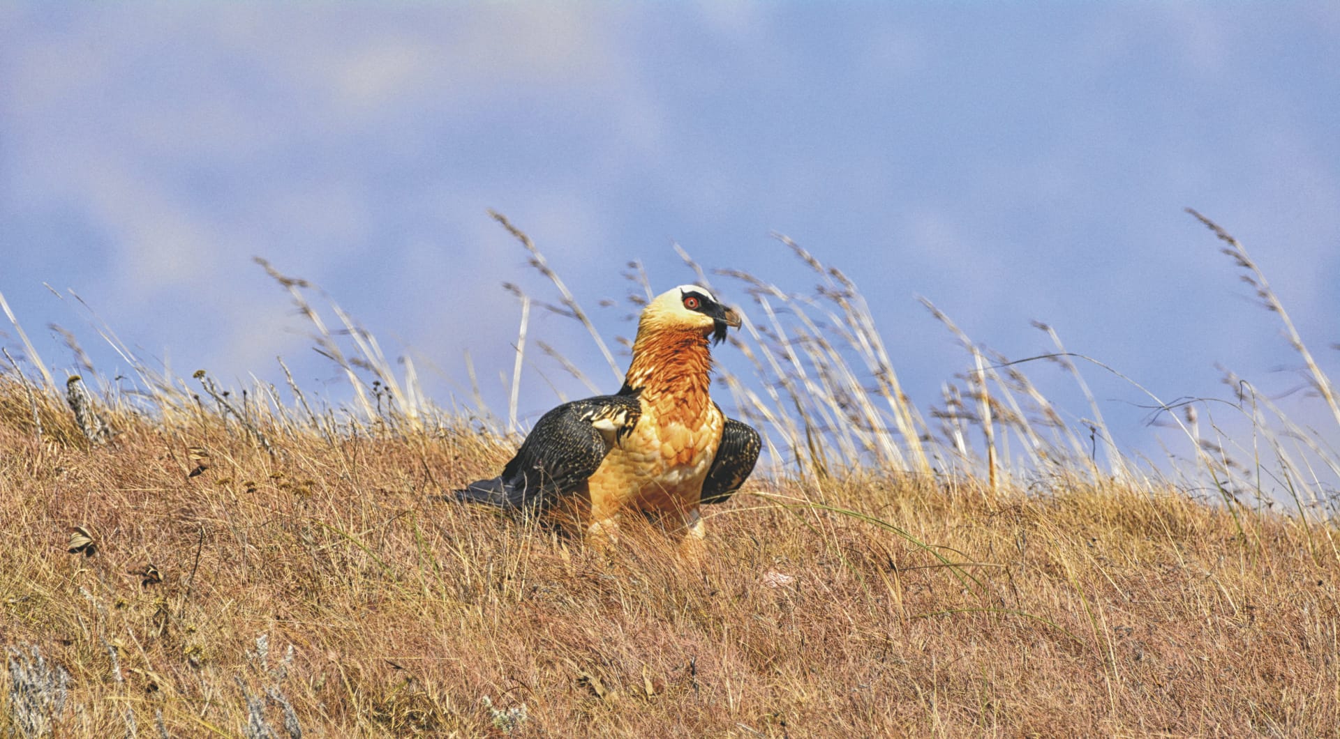 RSA_KZN_20230717_AD_29